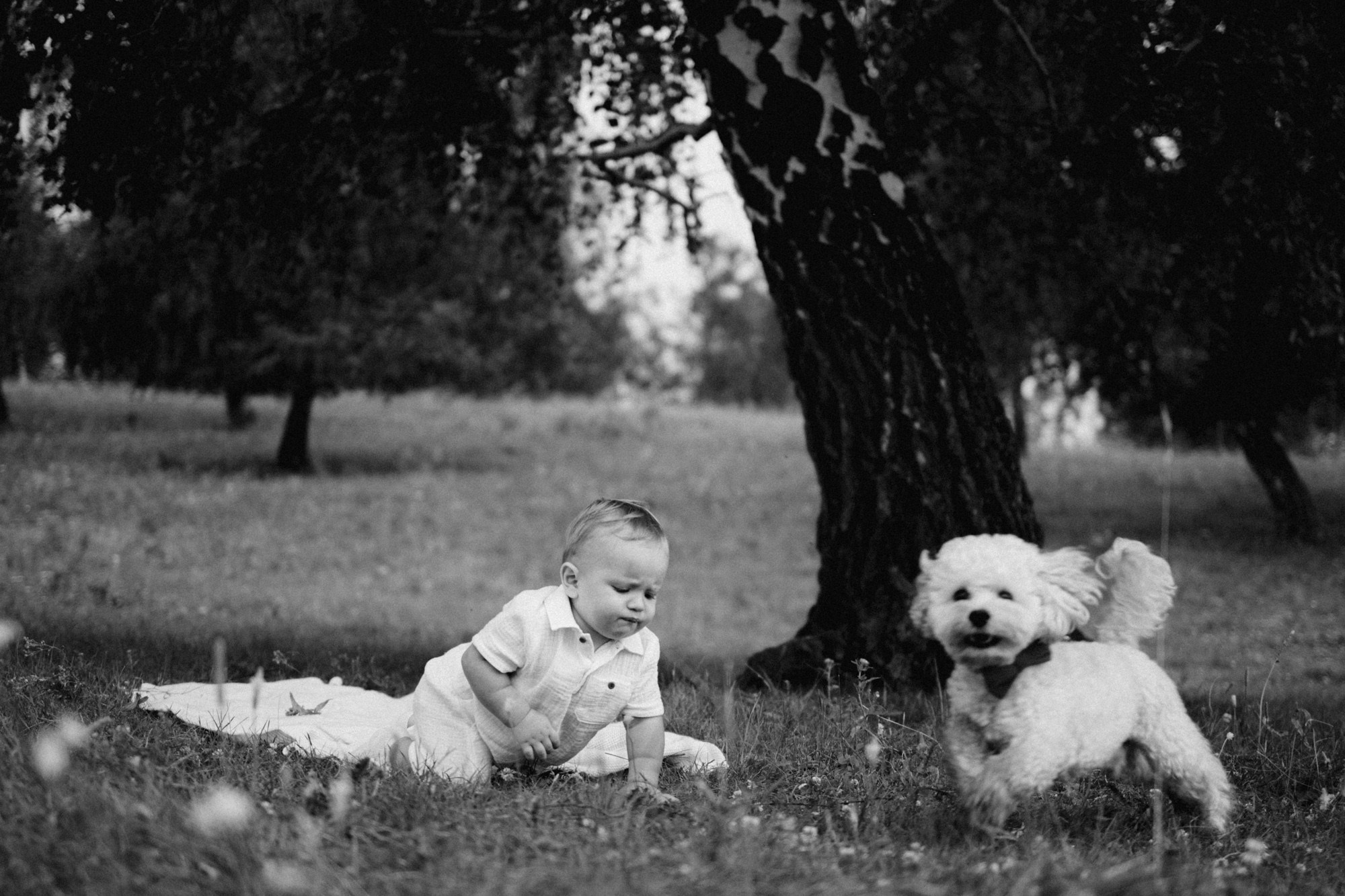 Портфолио. Семейный фотограф Светлана Медведева Магнитогорск