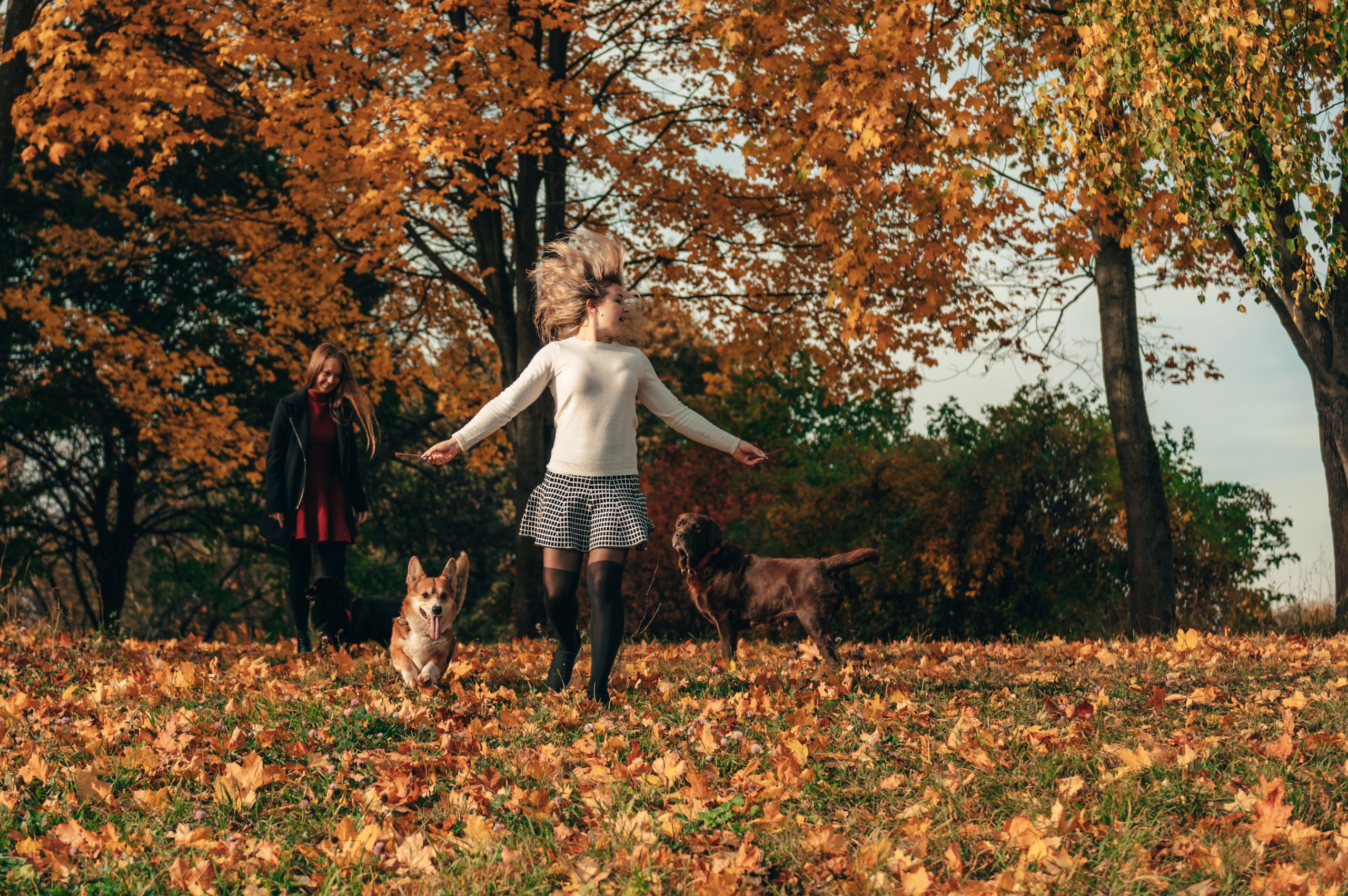 Все краски осени. Свадебный и семейный фотограф София Невская