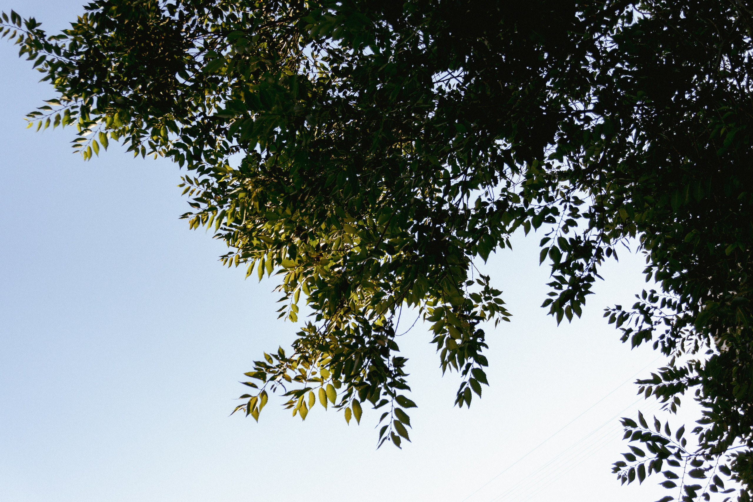 06.07.2025 | Сосновоборск. Kuznetsov | Фотограф в Красноярске