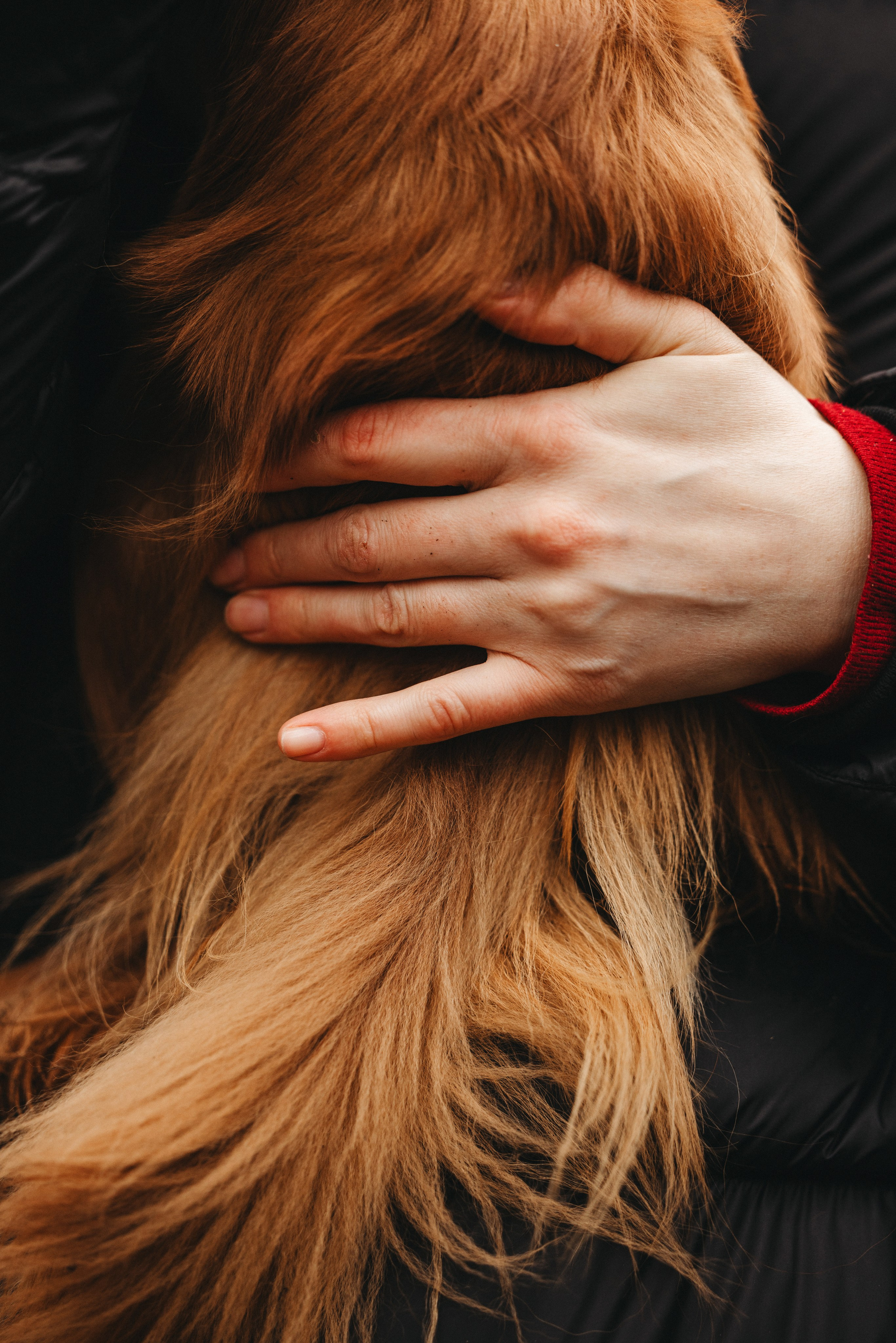 Встреча ККЧС. Фотограф анималист Осипчикова Мария