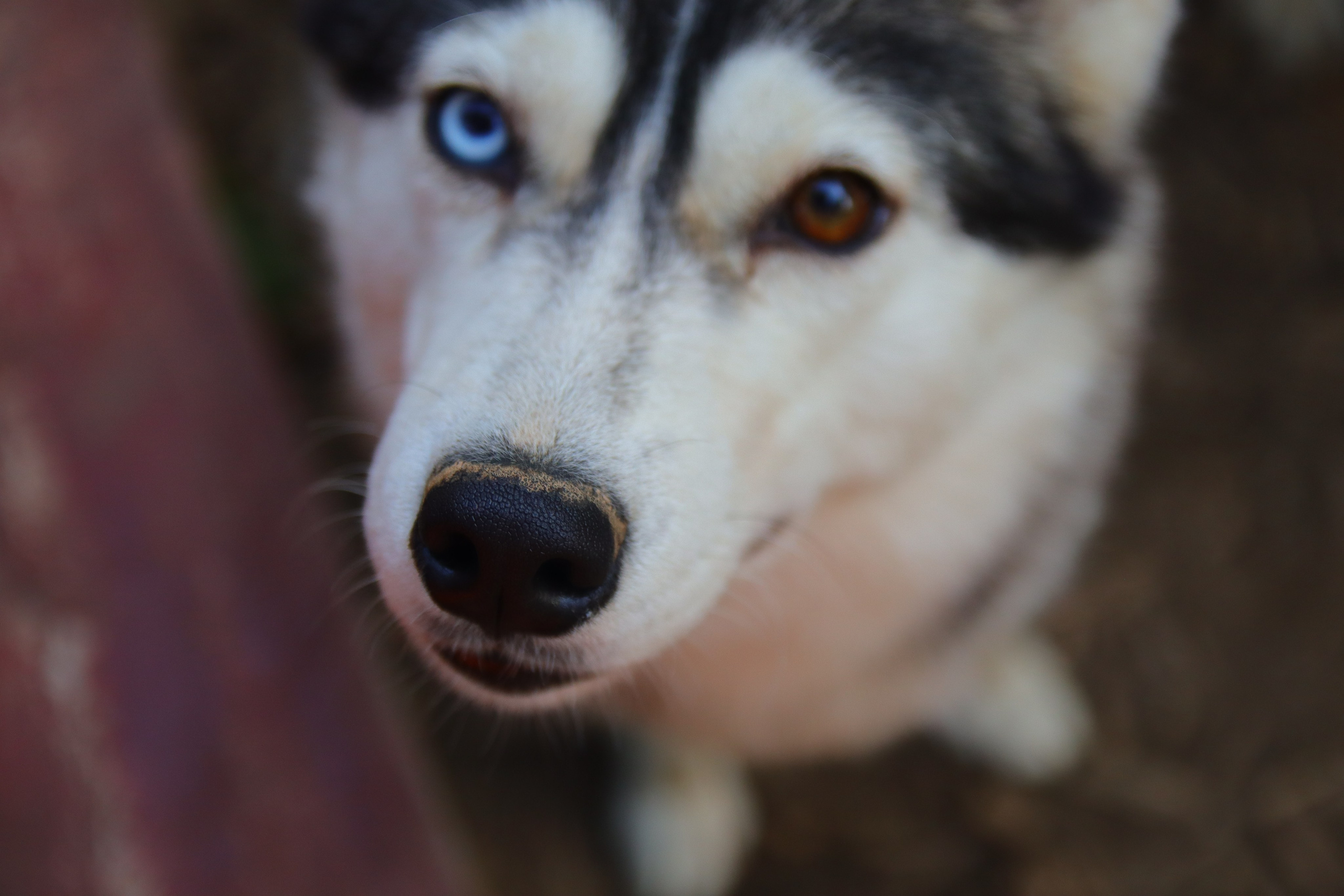 Фотограф и видеограф Лашманов Павел
