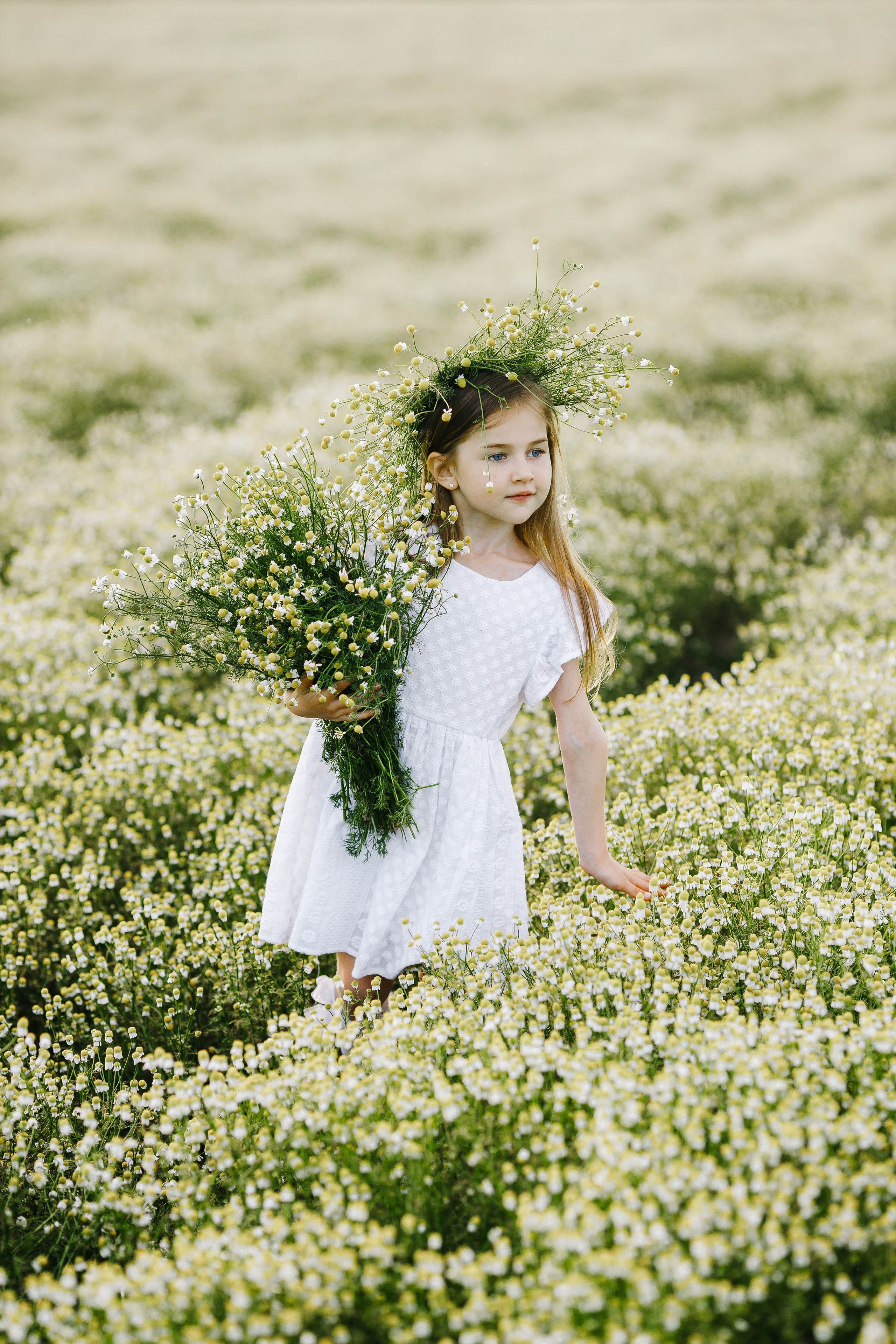 Фотосессии детские и женские в полях. Семейный и детский фотограф в Пскове и Санкт-Петербурге Яна Калинина
