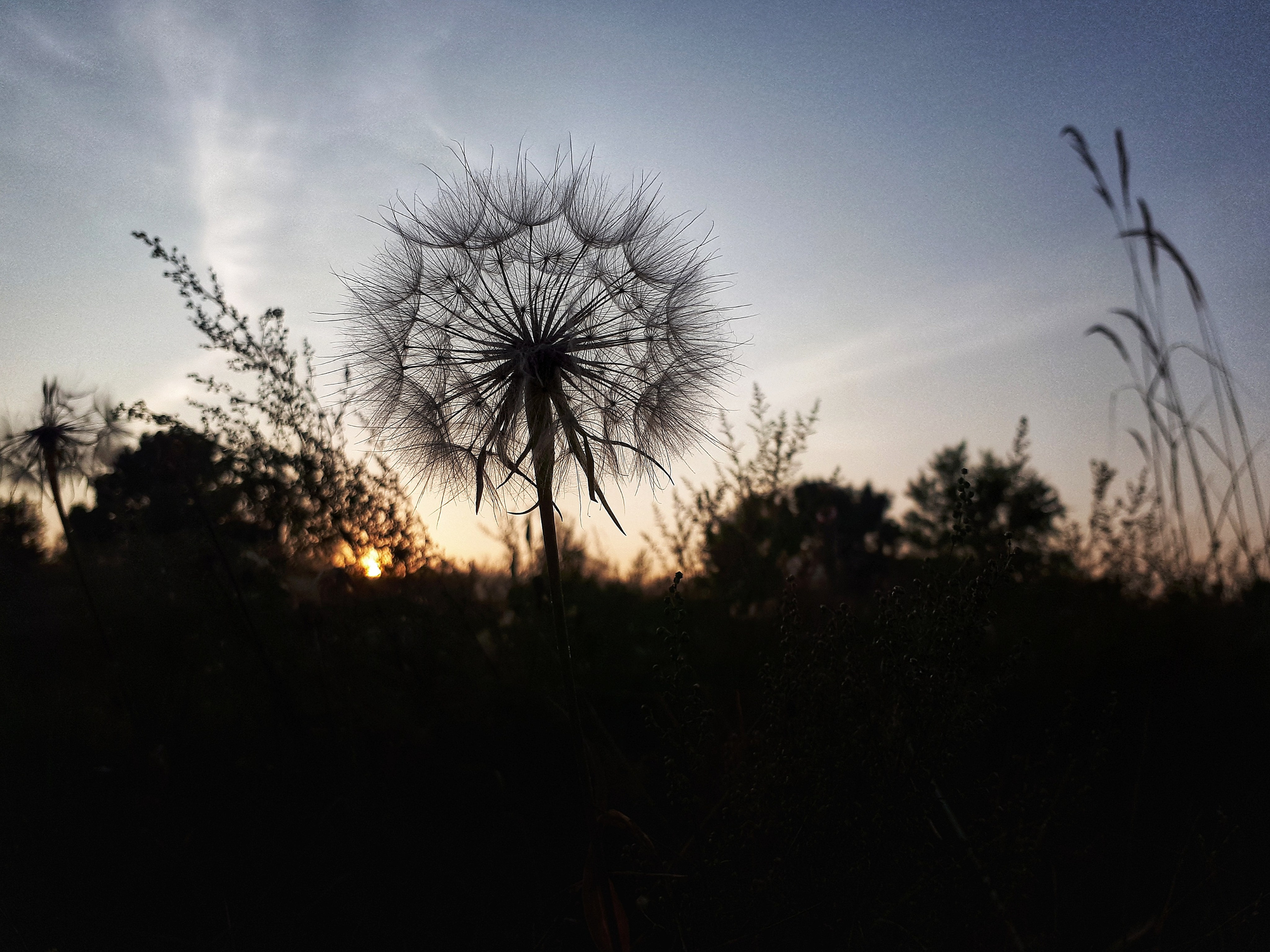 Фото на телефон. Фотошкола и фотокурсы в Абакане