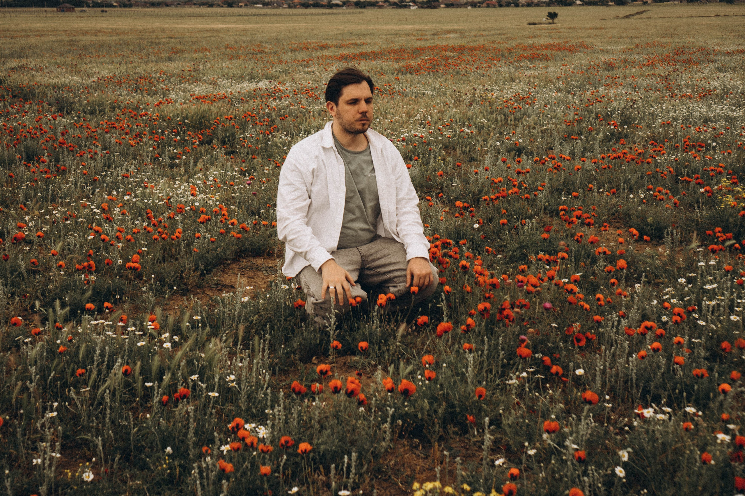 Маки. Профессиональный фотограф, Санкт-Петербург — Виктория Богомолова