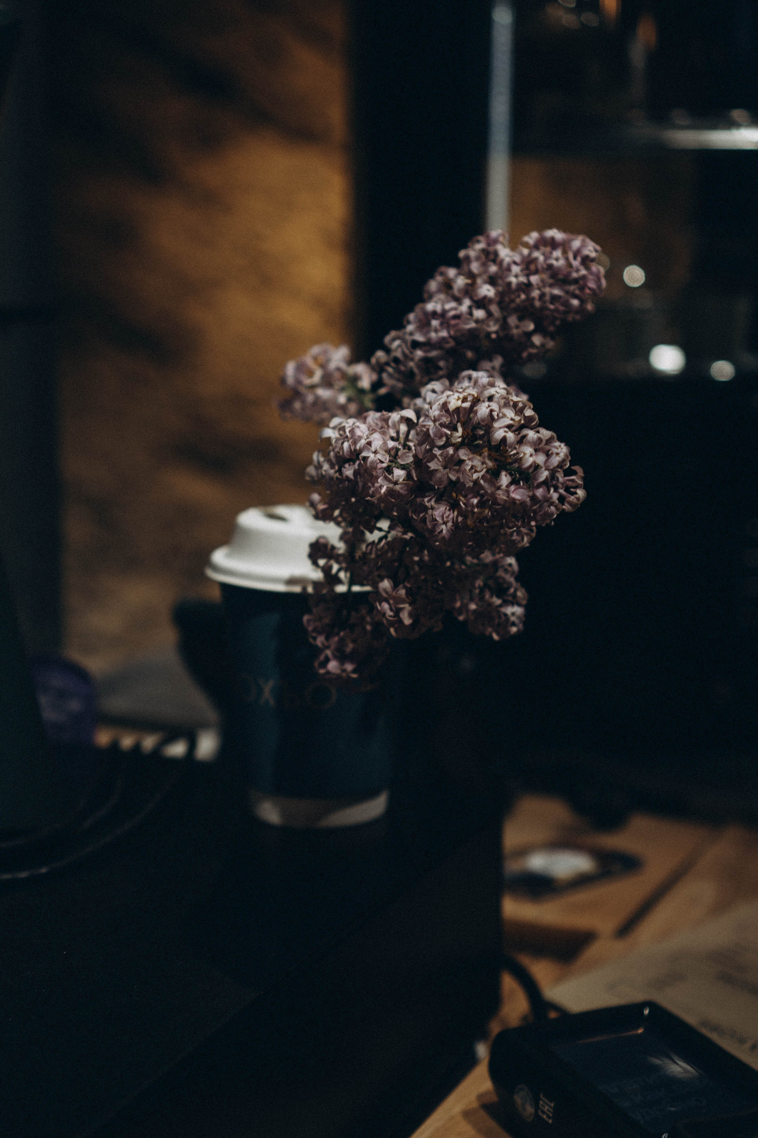 Кавказ. Профессиональный фотограф, Санкт-Петербург — Виктория Богомолова