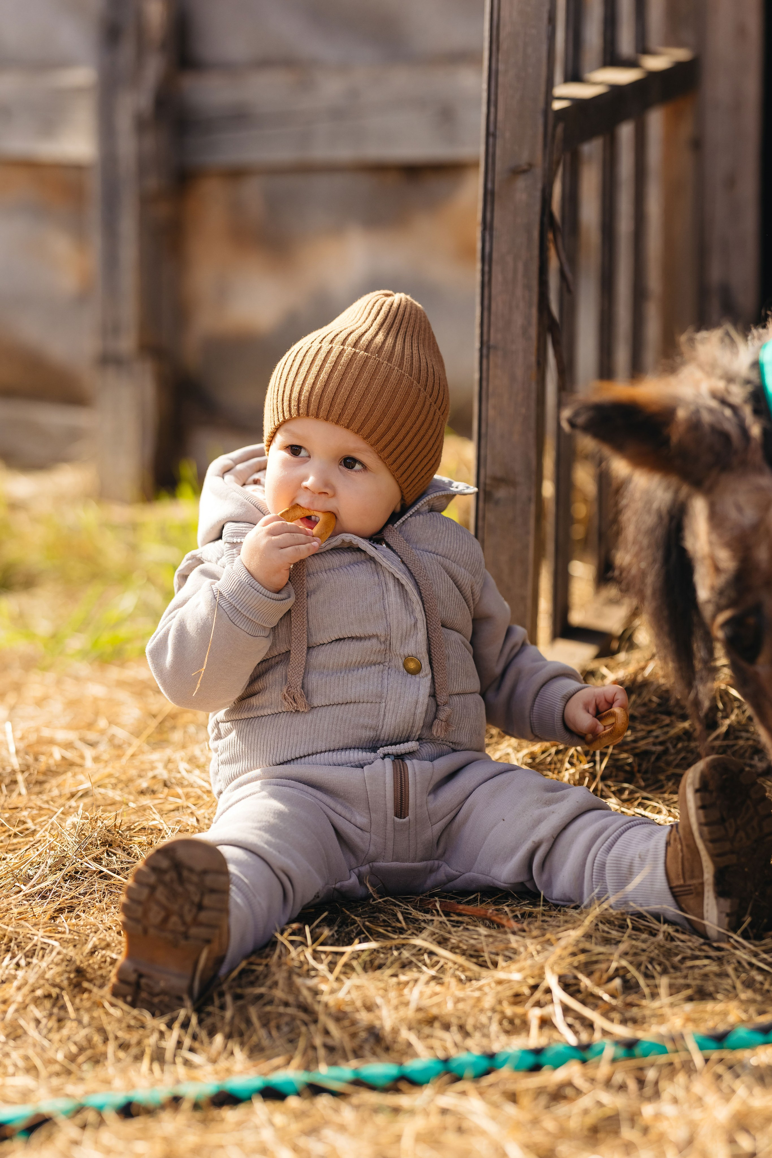 2024.10.02 Илья и лошадка. Ирина Бешляга. Фотограф в Москве и по всей России
