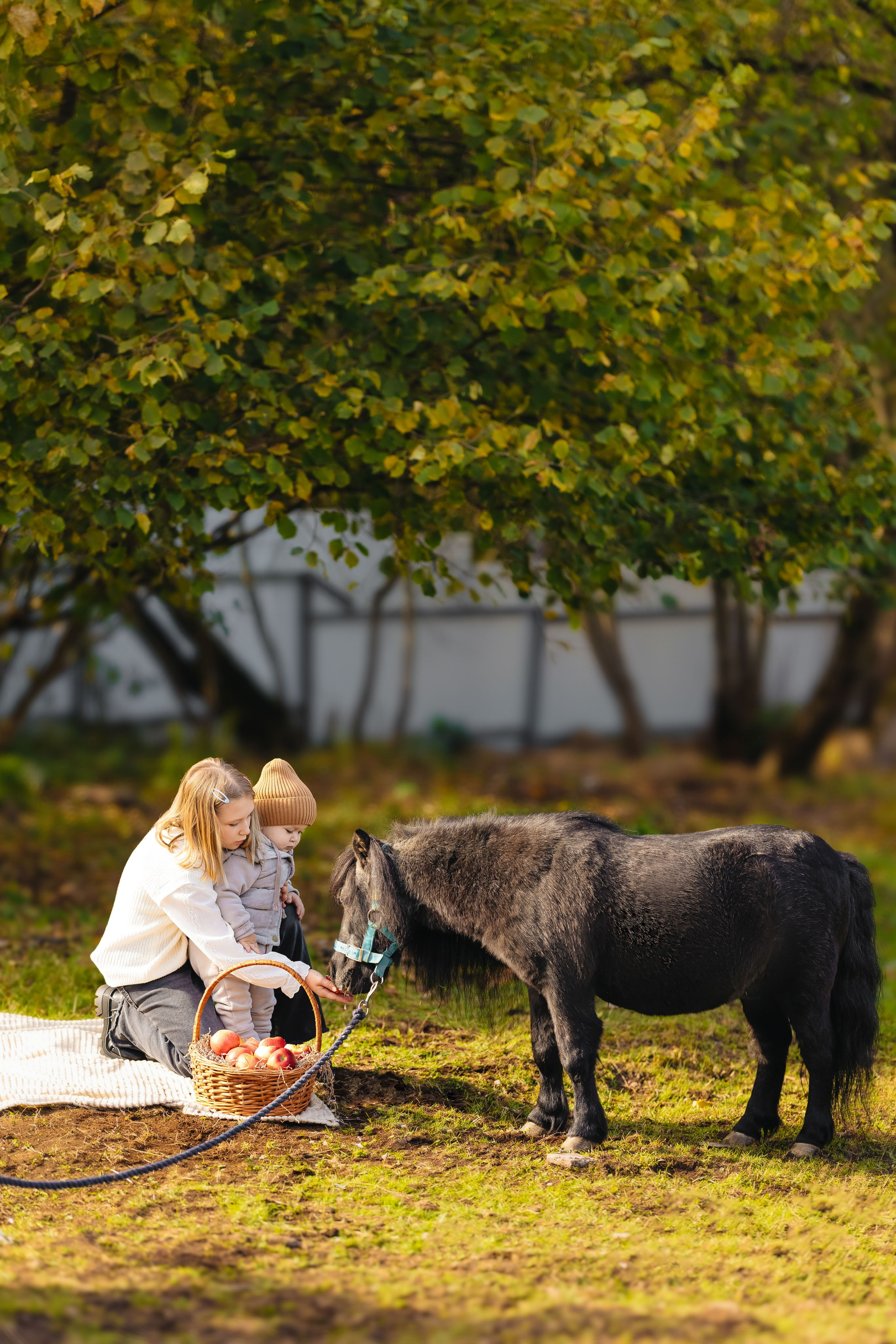 2024.10.02 Илья и лошадка. Ирина Бешляга. Фотограф в Москве и по всей России