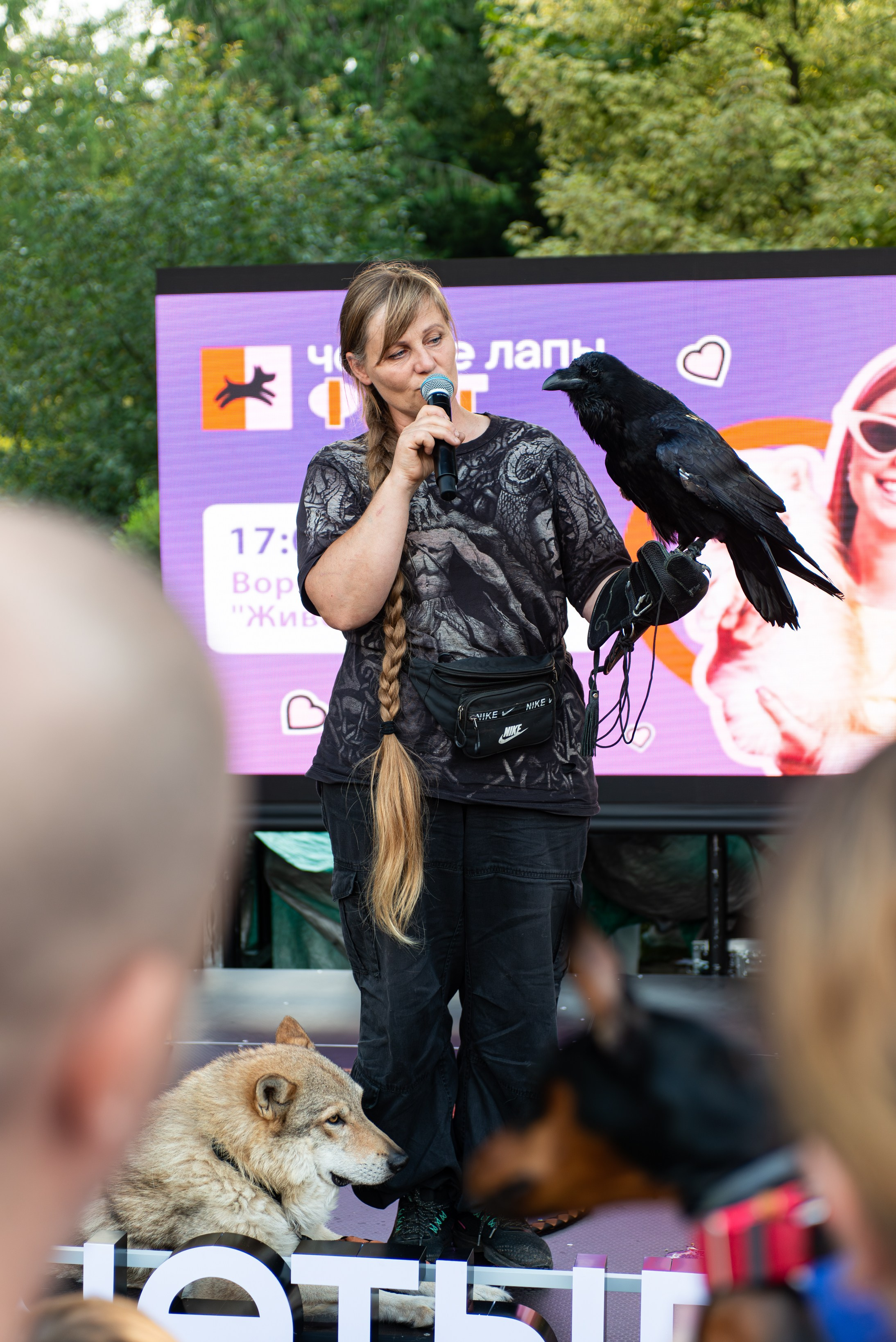 Репортажная съёмка фестиваля 4 лапы. Репортажный и персональный фотограф в Москве