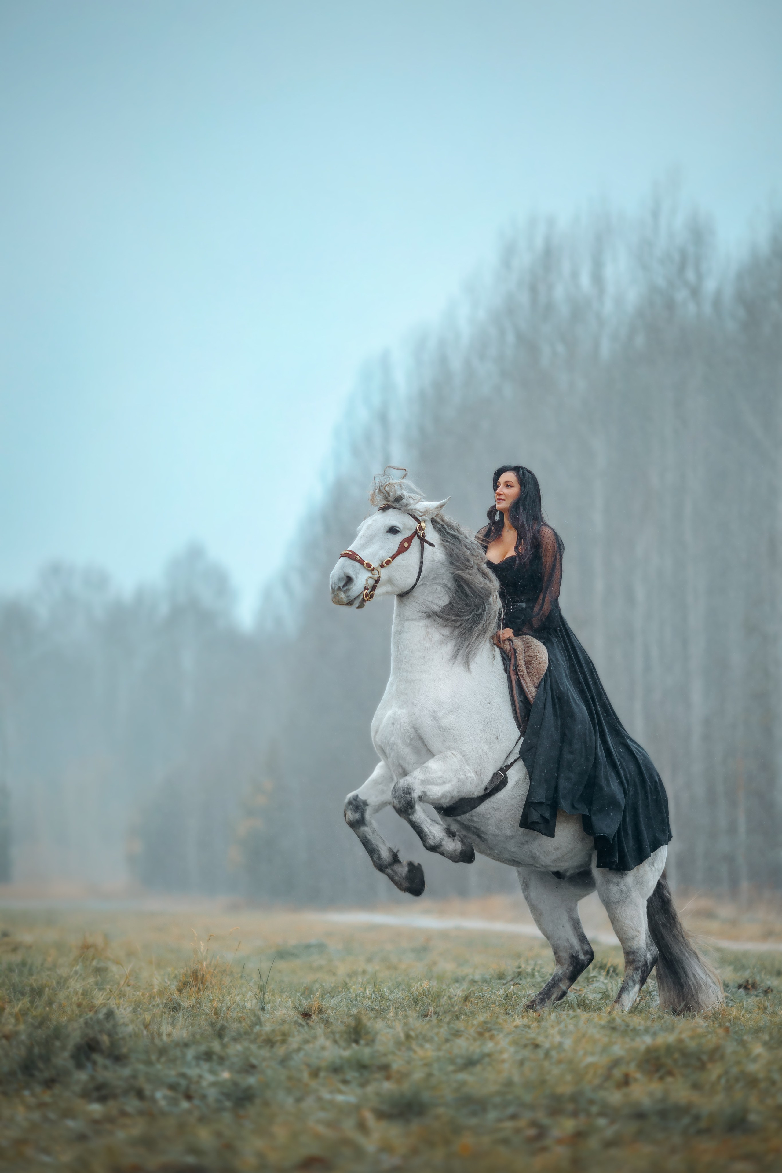 Женственность. Анна Молчанова конный фотограф в Тюмени | фотосессии с лошадьми Тюмень