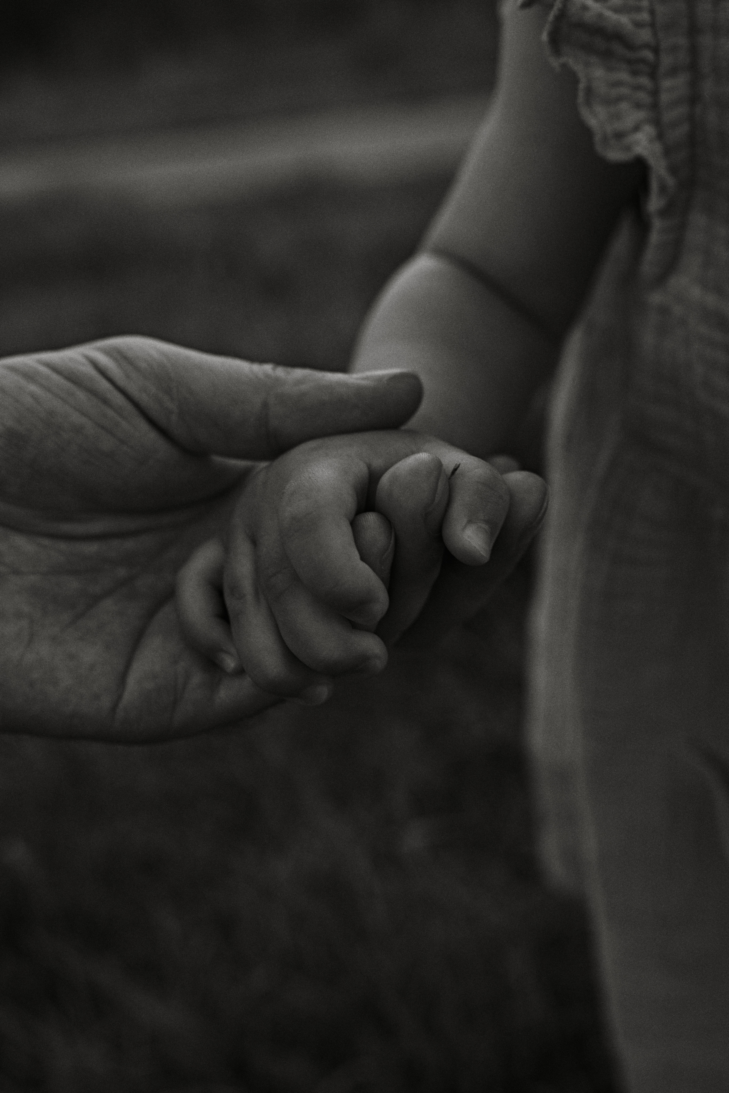 Семейная Фотосессия. Свадебный и Семейный фотограф Москва Петушок Наталья