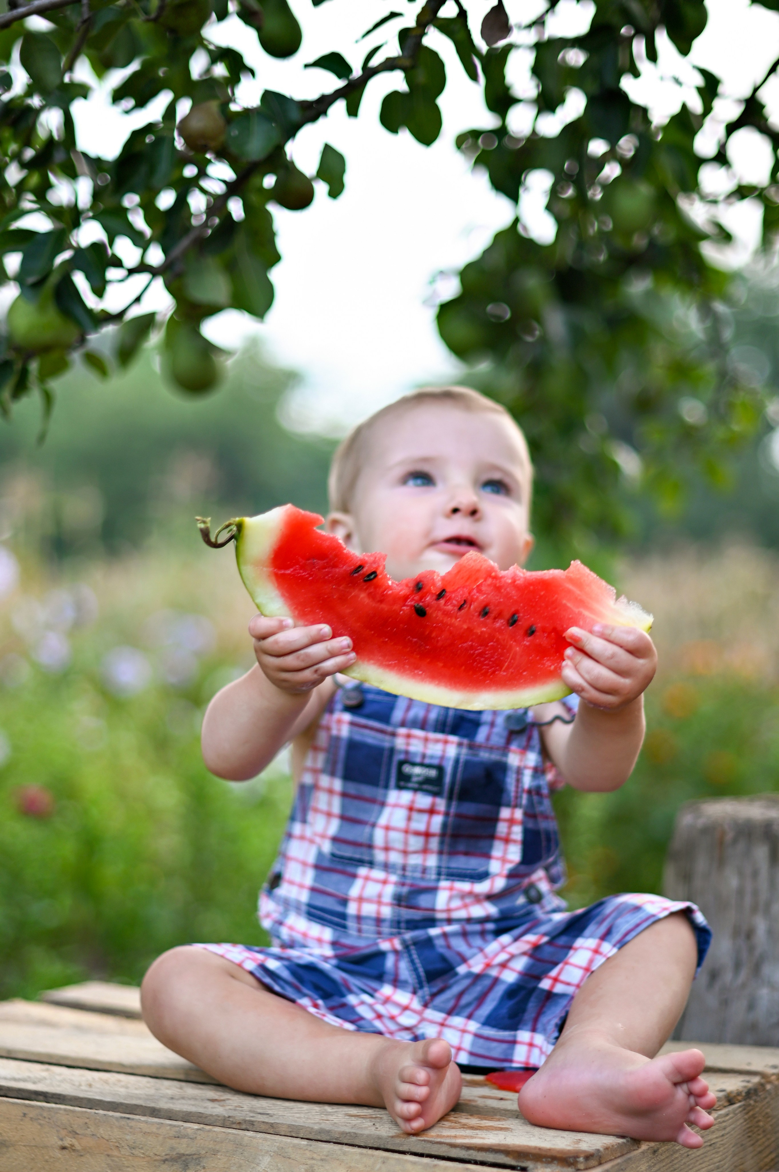 Фотопроект «Сочный арбуз». Детский и семейный фотограф г. Москва Оксана Катаджи