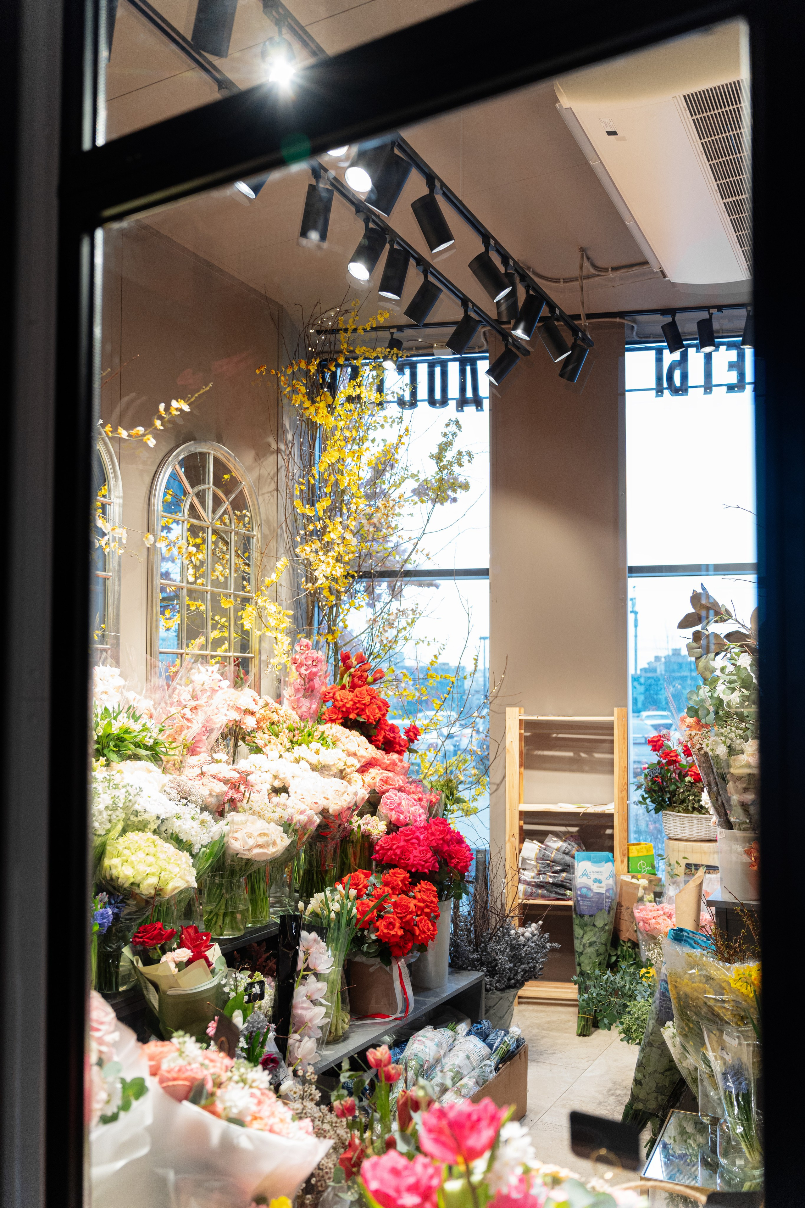 Регион холод. Елена Пашкевич, фотограф, Москва