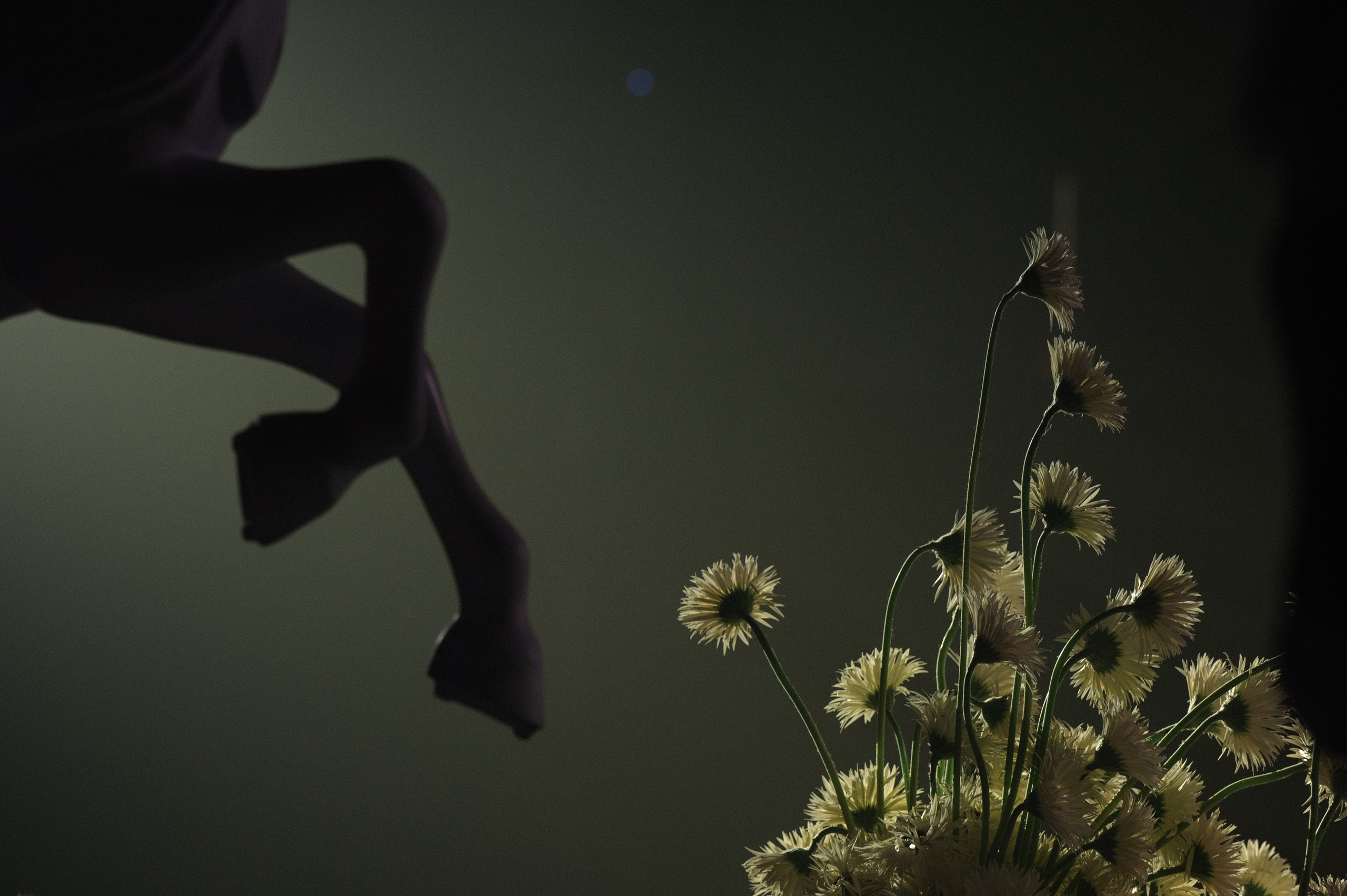 K A R U S E L. Свадебный и репортажный фотограф Сергей Чесноков