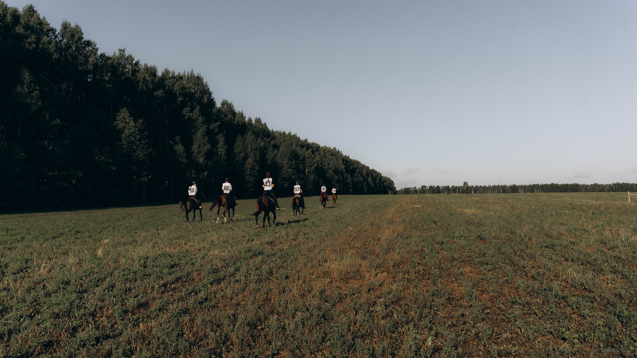 День Коня. Алиса Никитцова | Фотограф в Казани