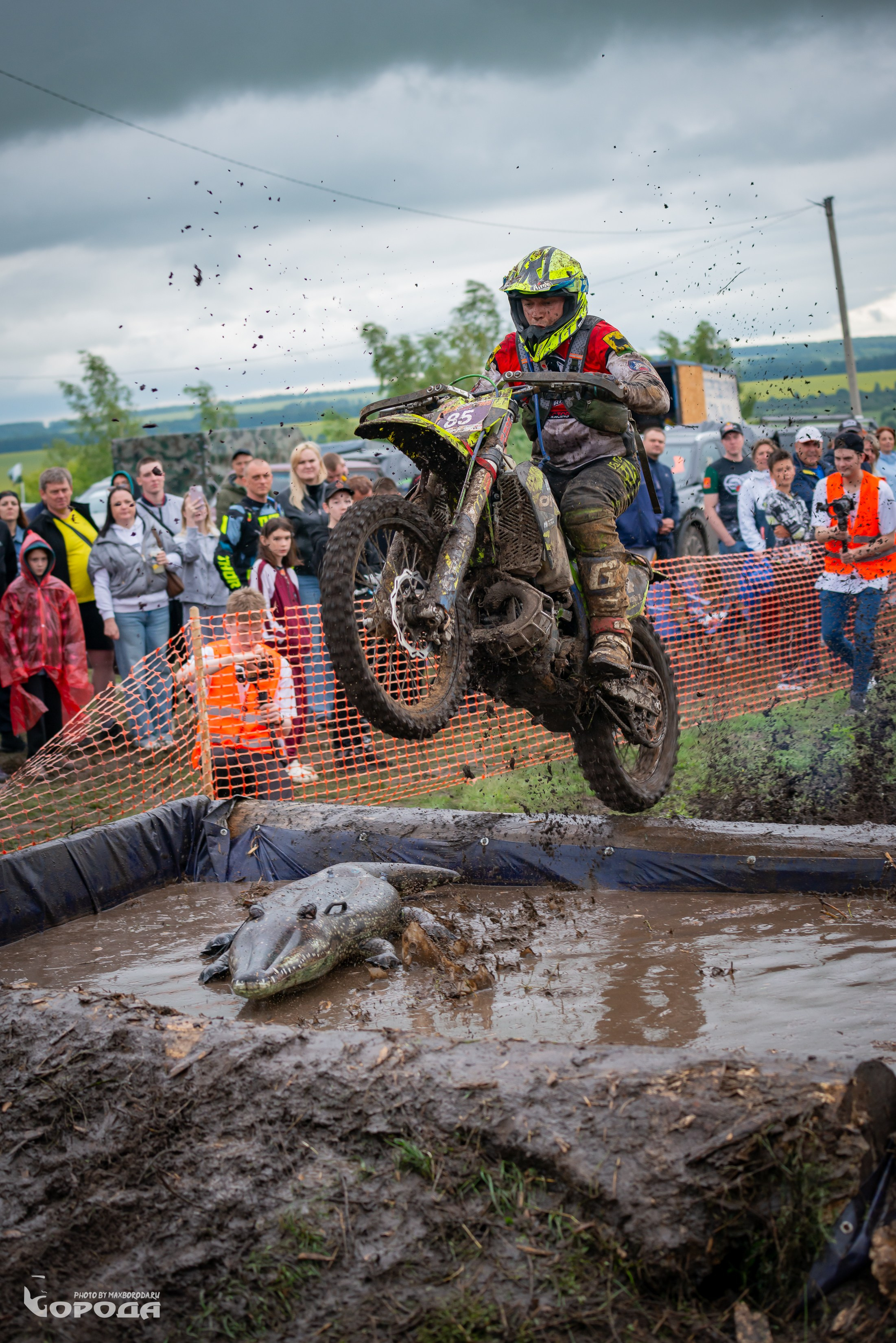 Дубрава 2025. Фотограф | Макс Борода