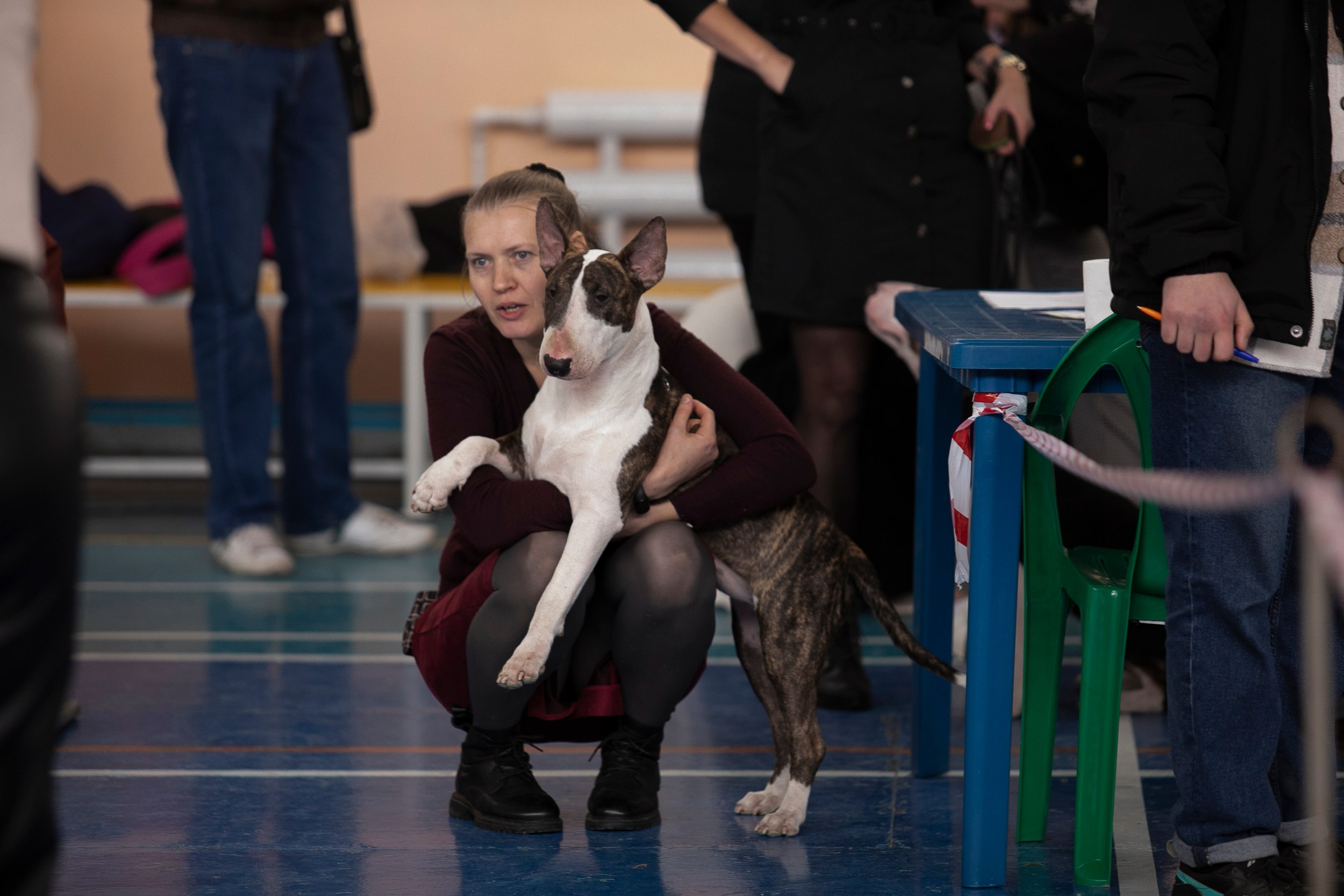 Авторские пресеты для обработки фото. Фотограф — видеограф Алиса Дружинина