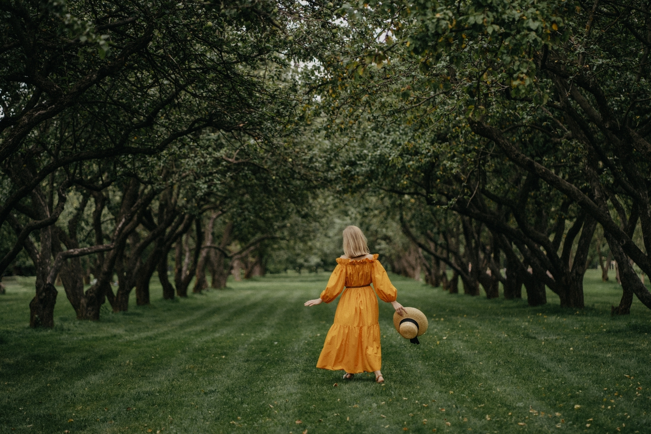 История цвета солнца. Фотограф Наталья Колганова