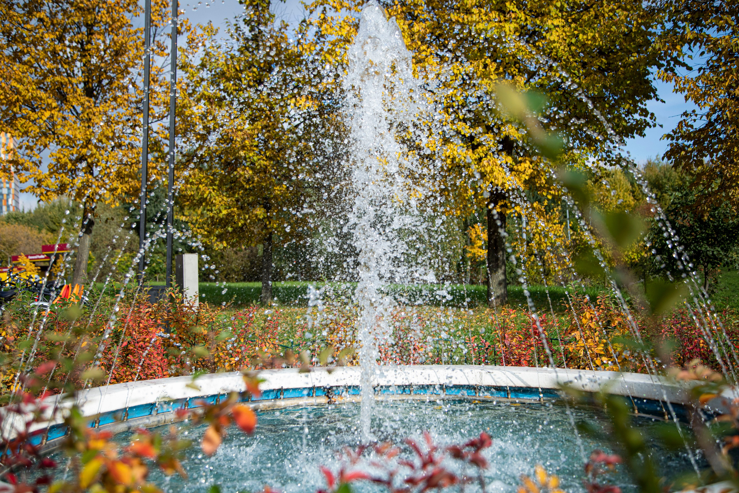 Про жизнь. Фотограф Сергей Ловкий