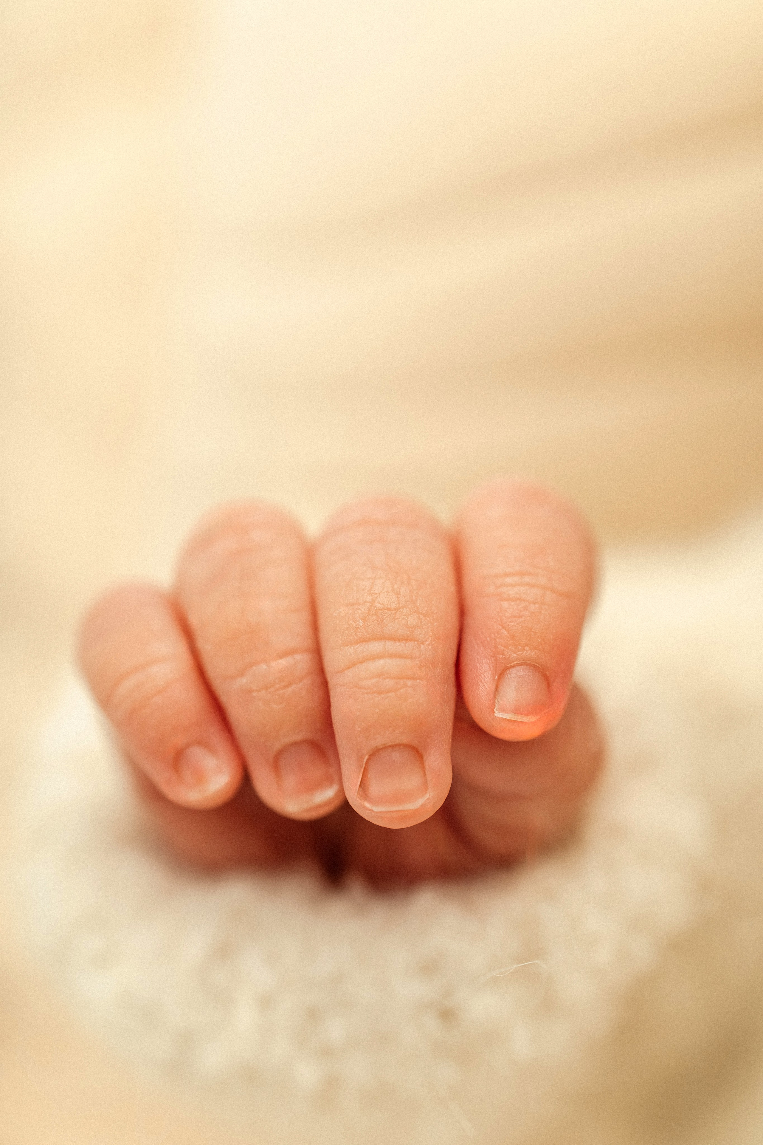 Newborn (14-30 дней). Фотограф Наталья Сабирова