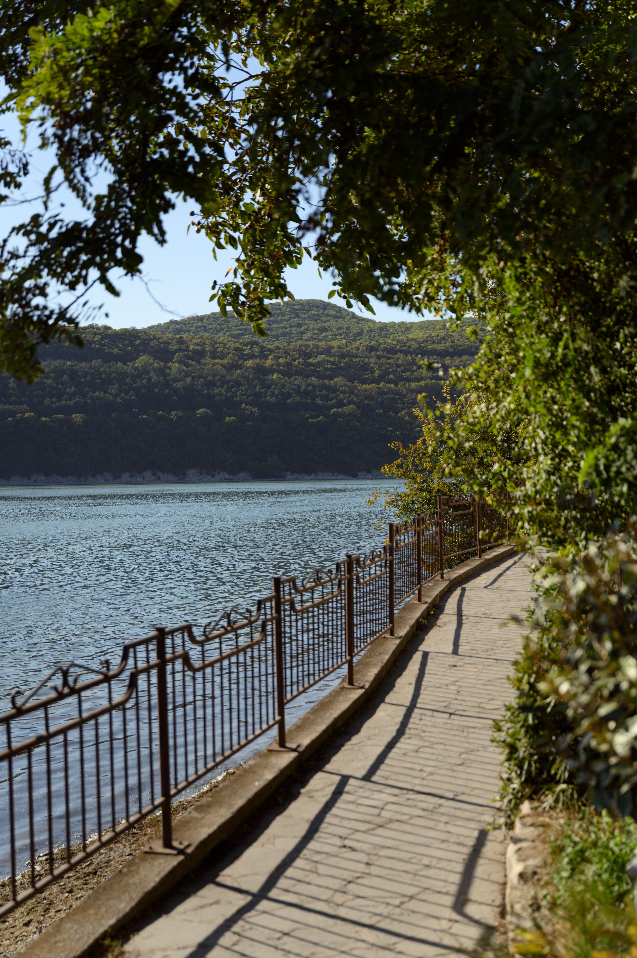 Кирилл и Анастасия. Свадебный фотограф и видеограф