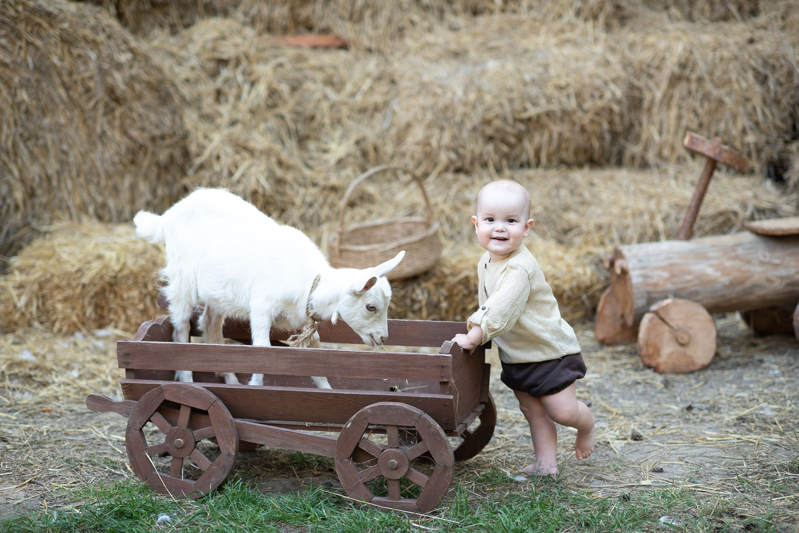 Фотостудия Лес Чудес. Фотограф Мария Усманова, Казань