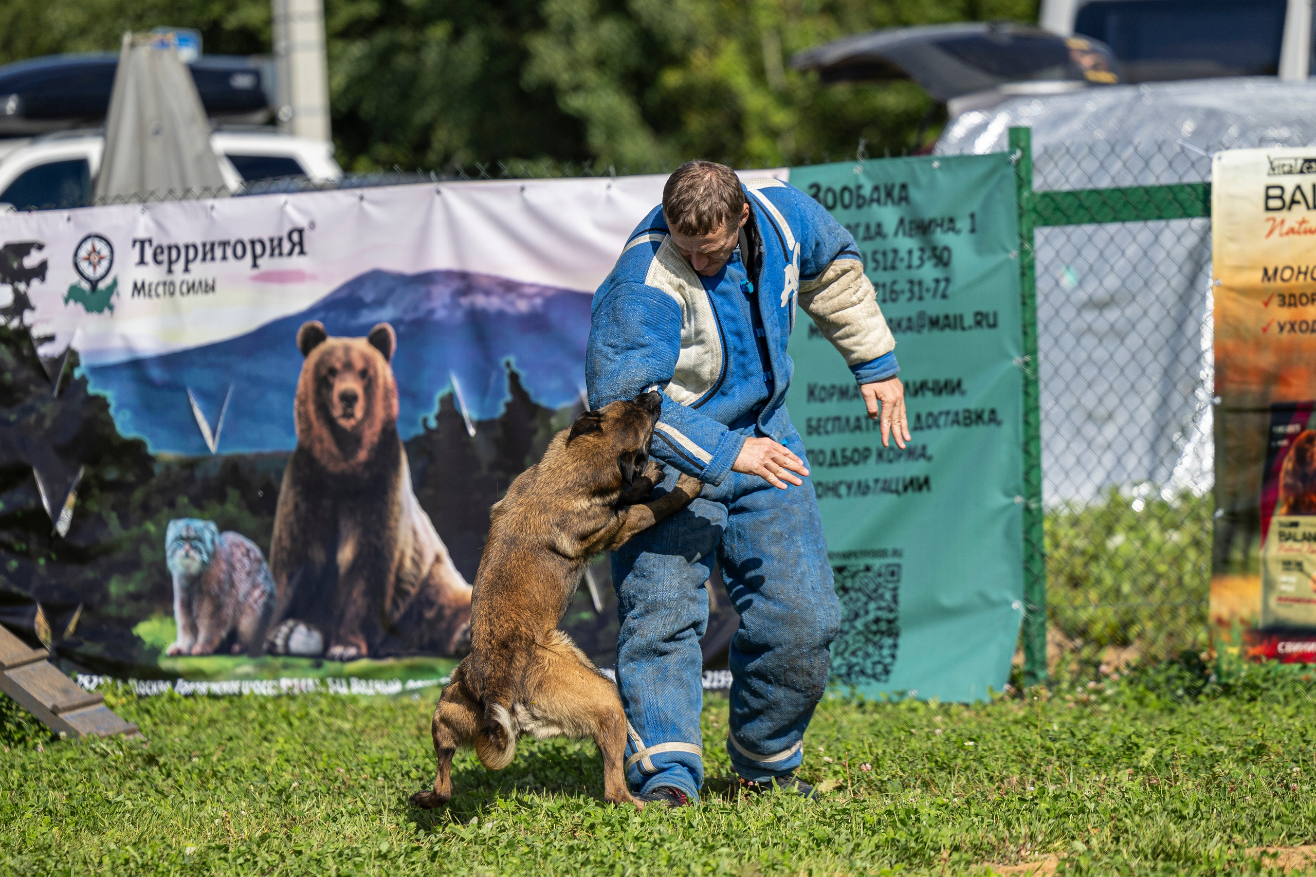 Соревнования по Мондьорингу г. Вологда 10-11.08.2024. Фотограф-анималист Анна Маринич