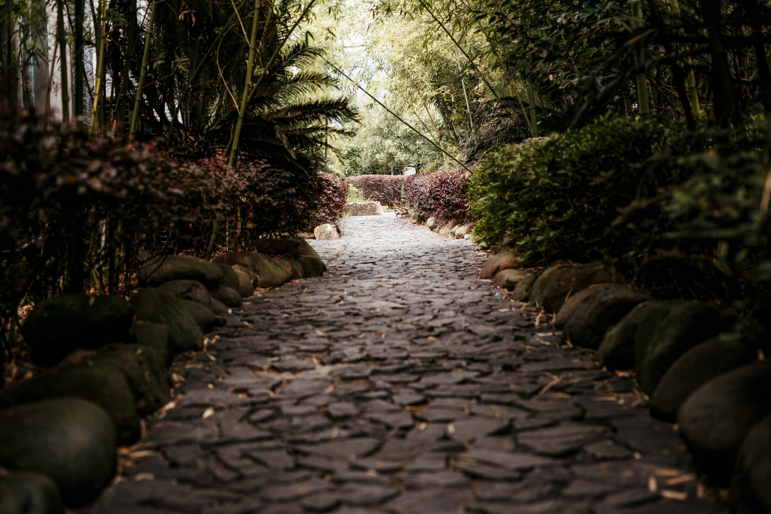 K. and C. Репортажный и свадебный фотограф Роман Яшкильдин