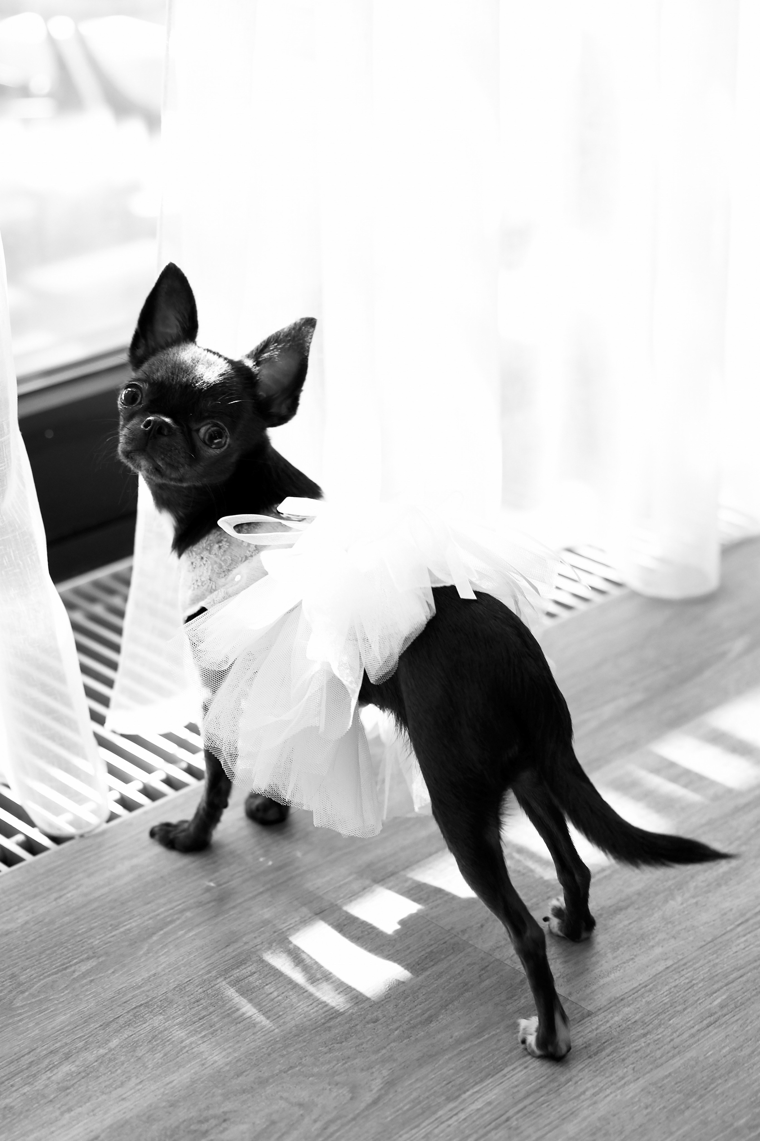 WEDDING. Свадебный фотограф Сочи Москва Дубай Снежана Магрин
