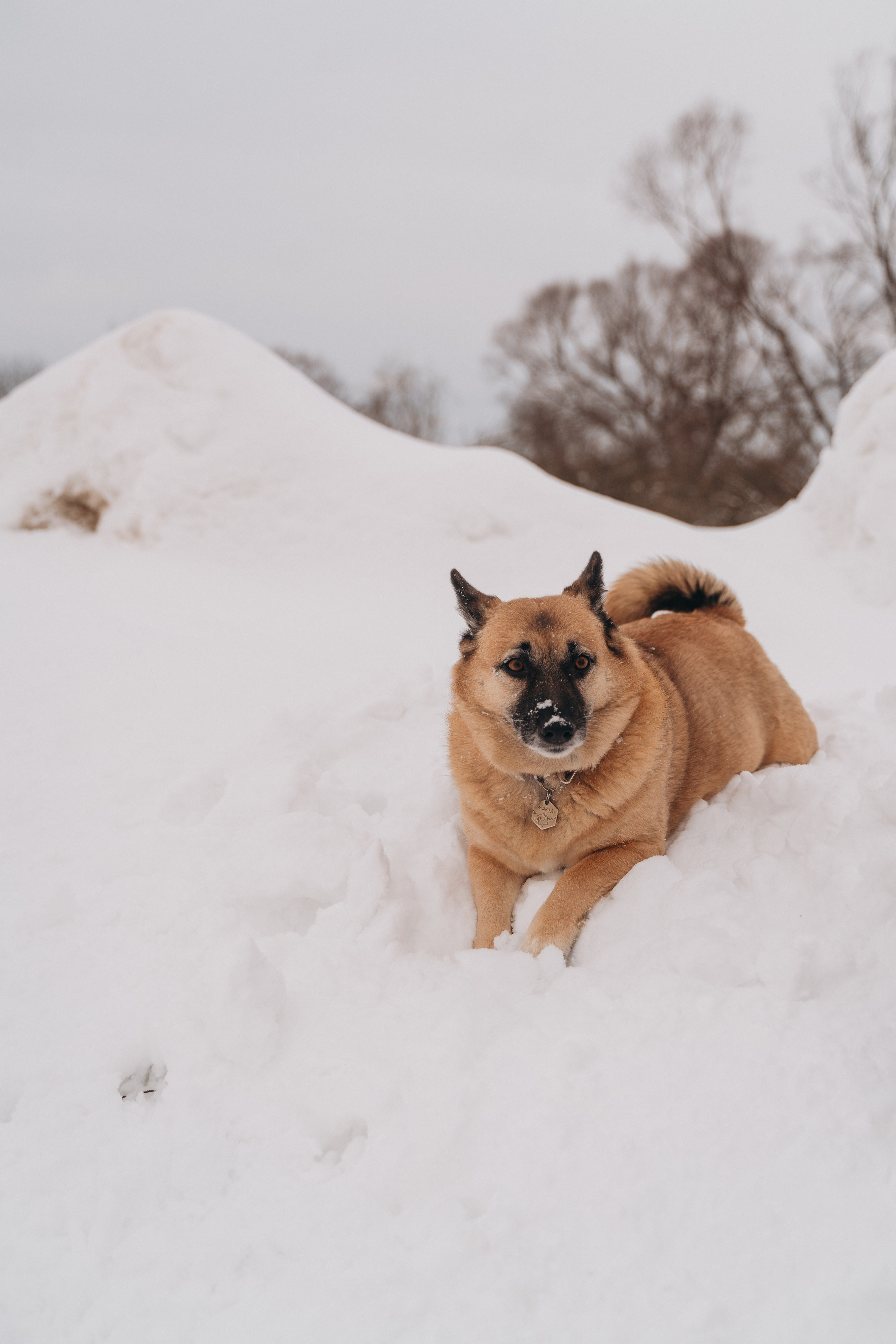 Февраль с Мартой 💞. FotoTanya. Раменское/Жуковский/Бронницы