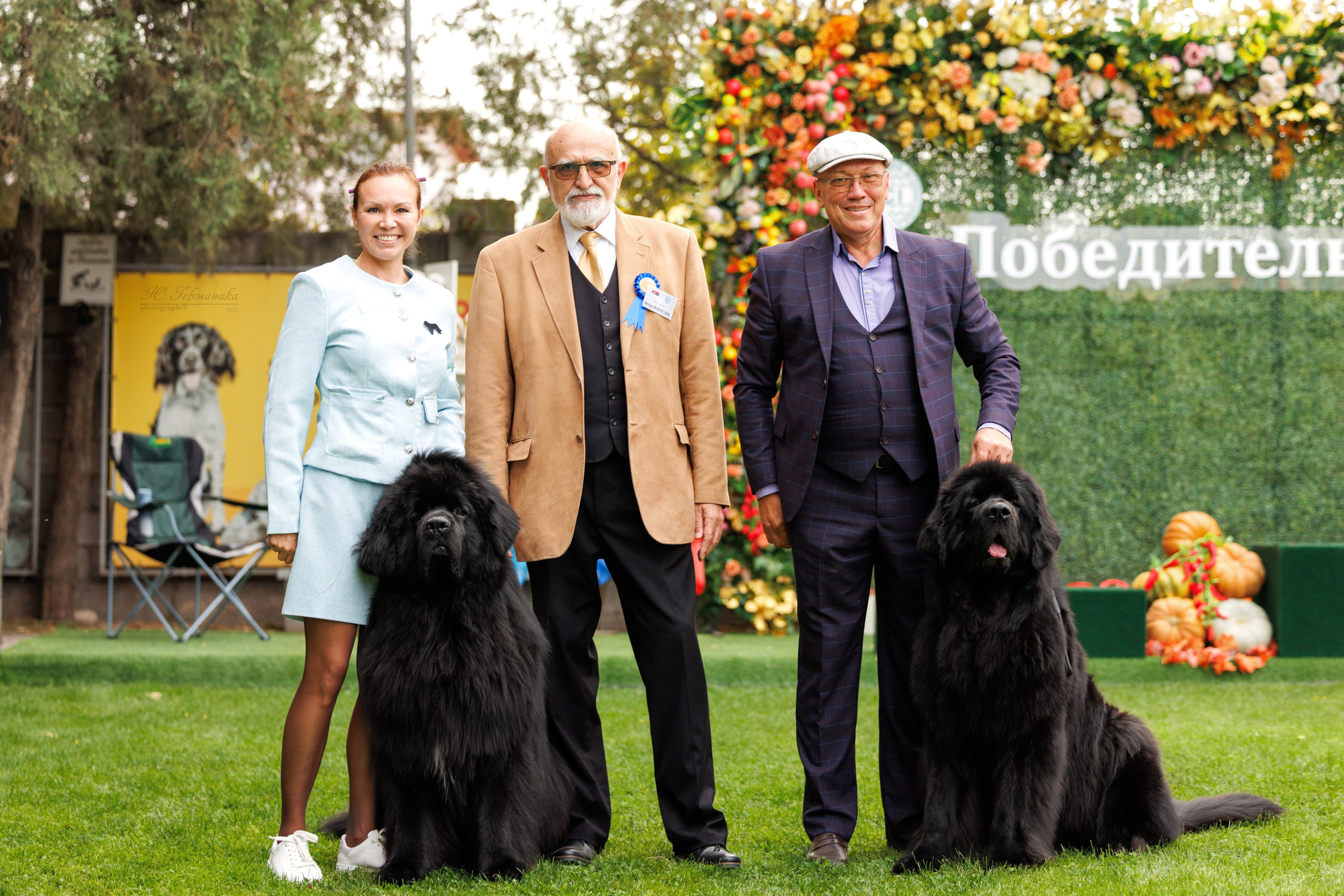 Бишкек 3х CACIB 26-28.09.2025. Фотограф-анималист Юлия Германика