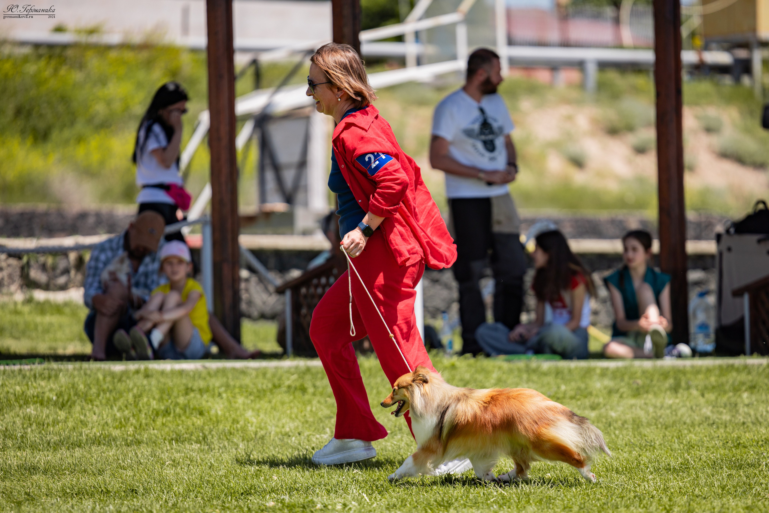 Ереван 3-5.06.2024. Фотограф-анималист Юлия Германика
