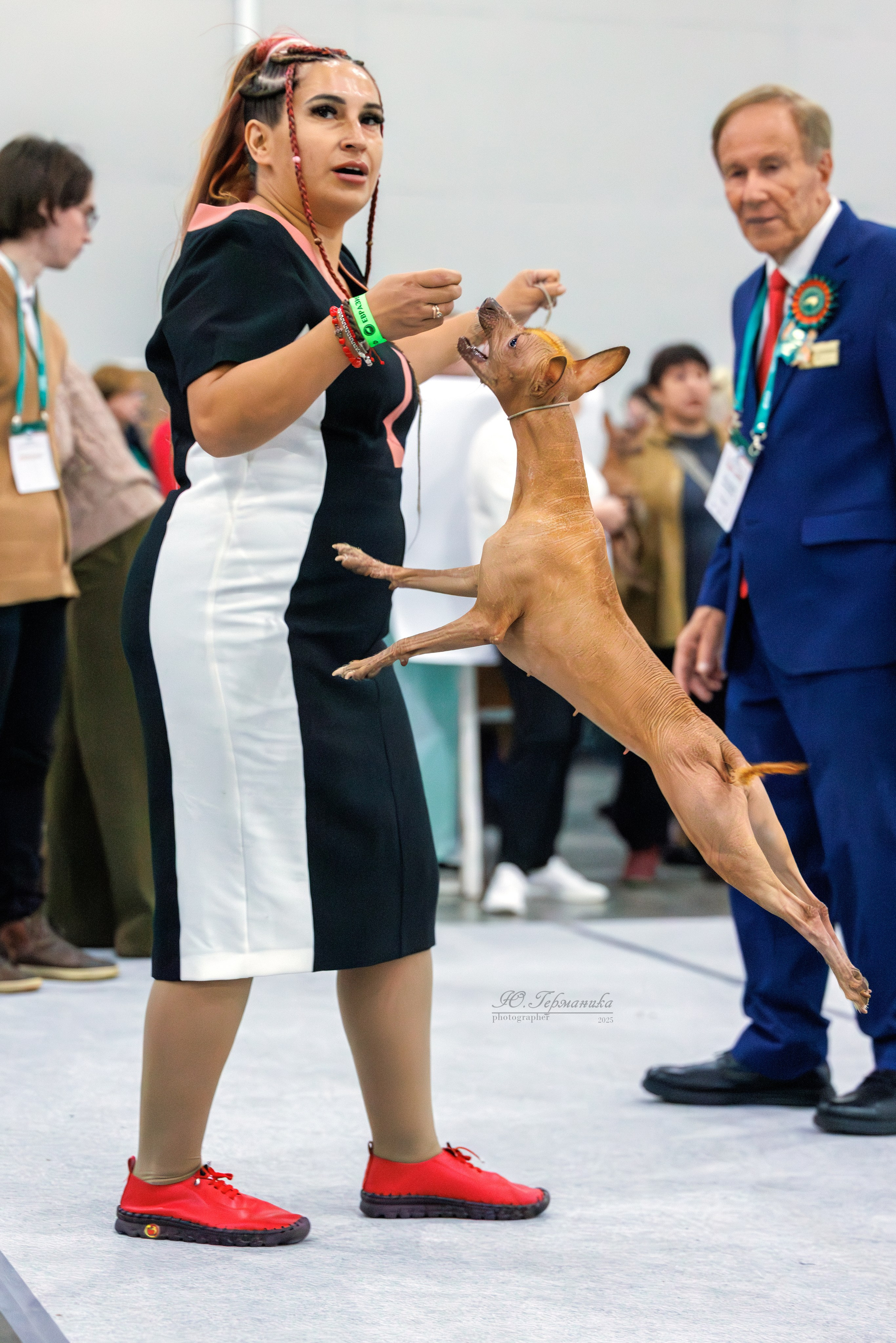 Евразия 15-16.11.2025. Фотограф-анималист Юлия Германика