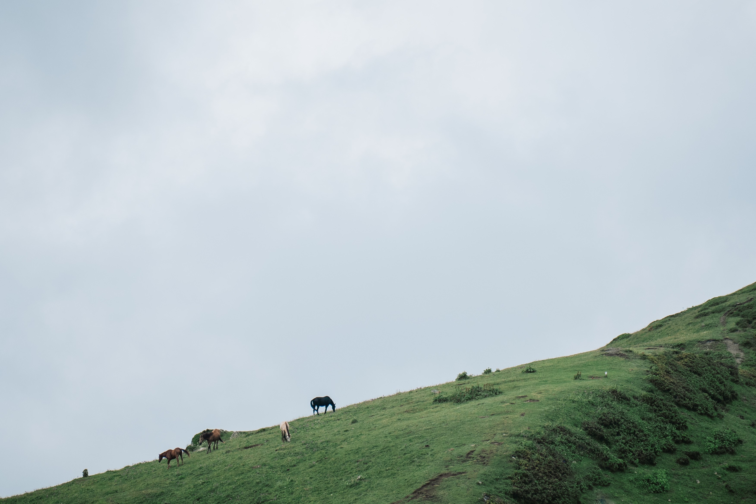 Нахазо ✽ Июль. Репортажный фотограф | Роза Хутор Красная Поляна Сочи Сириус