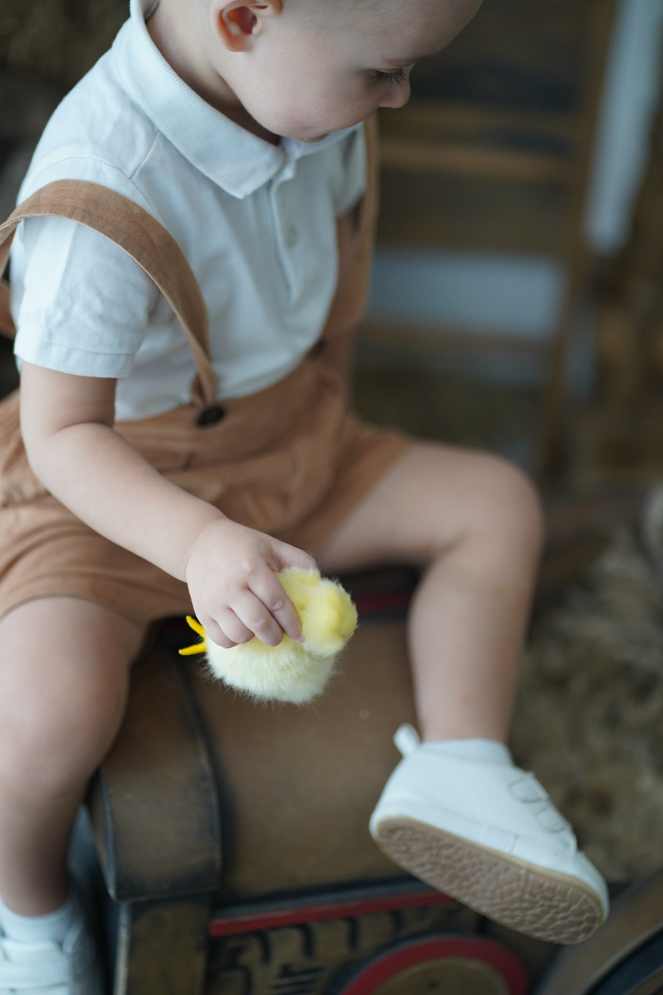 HB. Фотограф в Москве и МО