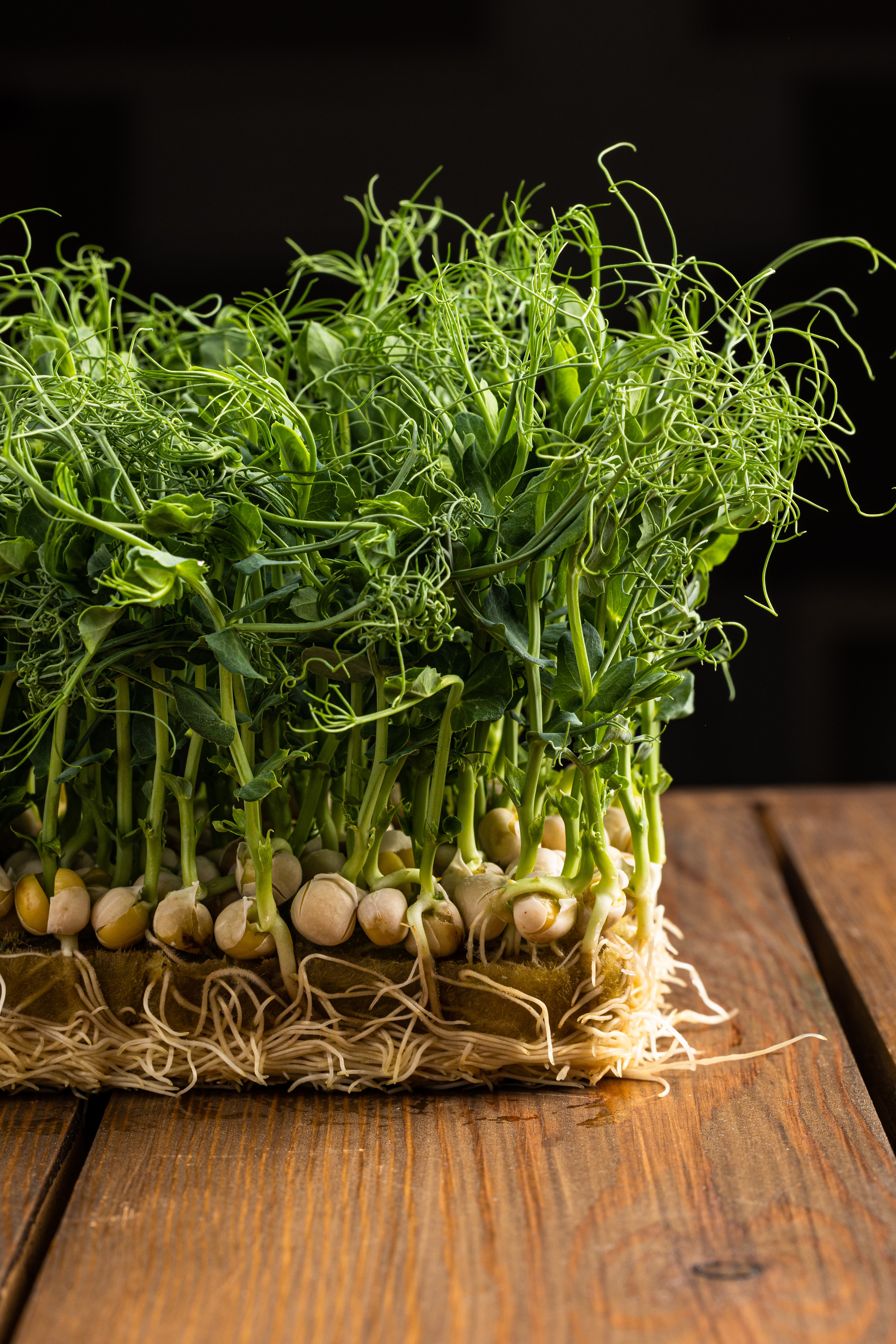 Food photo. Свадебный фотограф в Абакане. Food фотограф. Фотоссесии