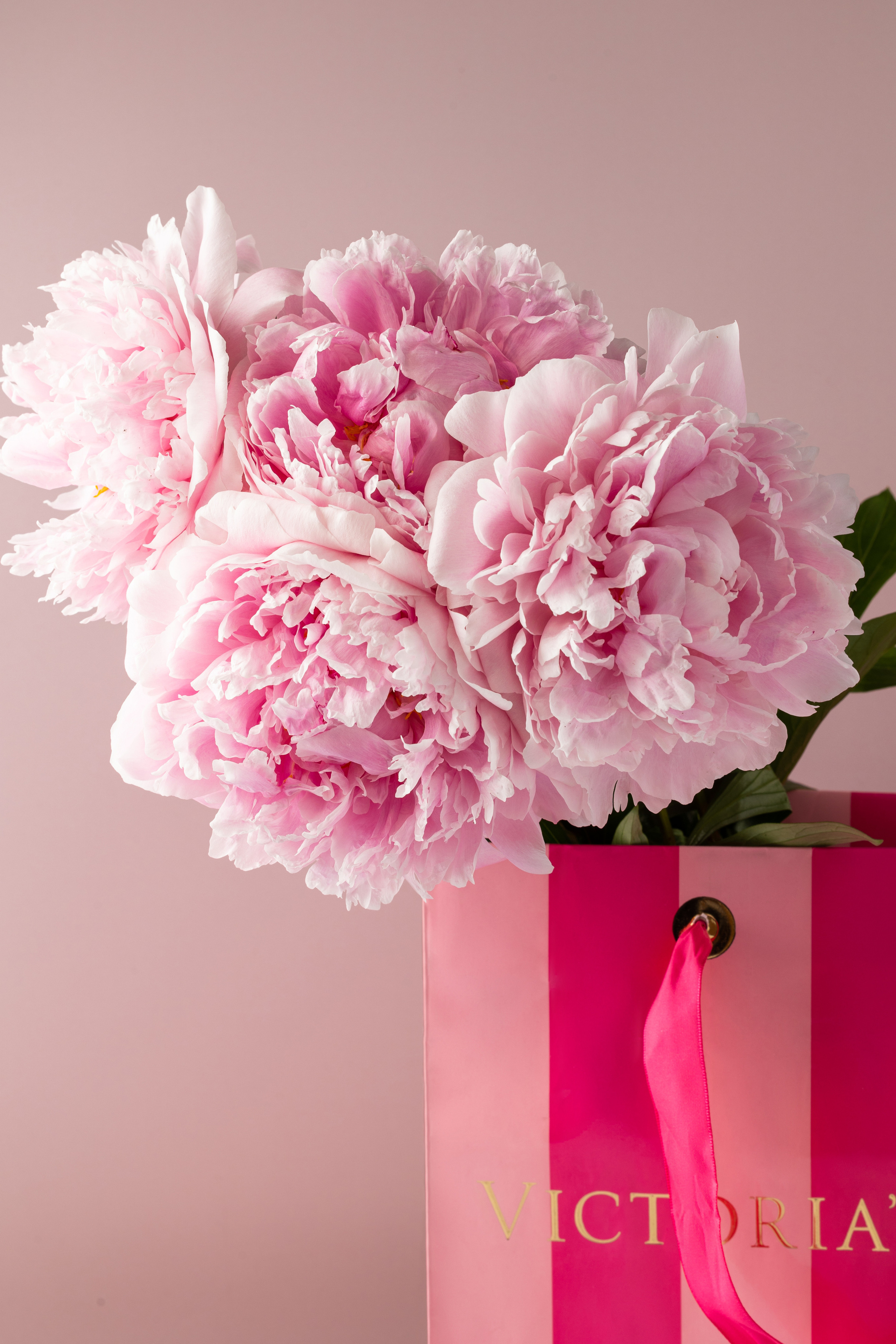 Food photo. Свадебный фотограф в Абакане. Food фотограф. Фотоссесии