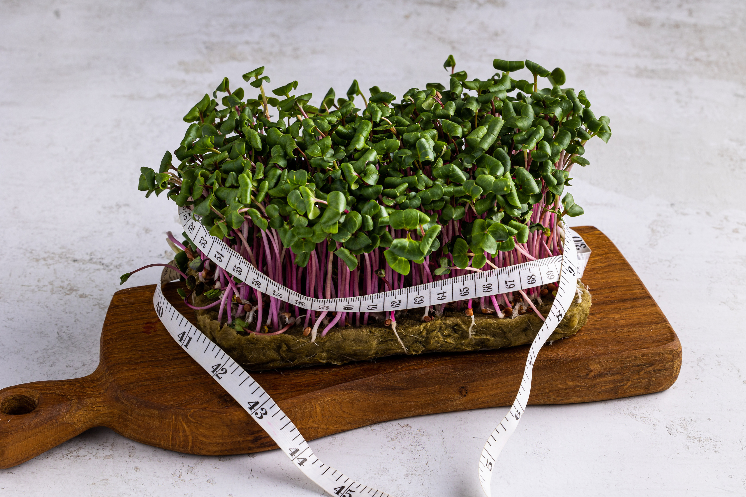 Food photo. Свадебный фотограф в Абакане. Food фотограф. Фотоссесии