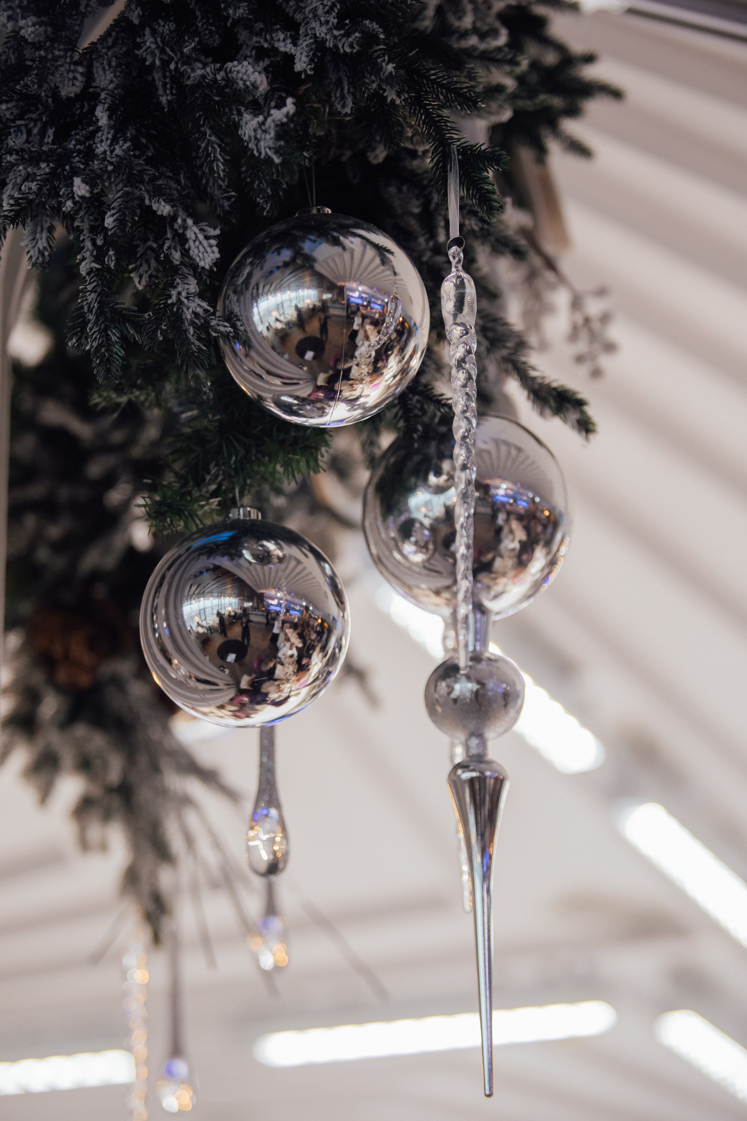 Премия года 2025. Фотограф Анастасия Романова Рязань