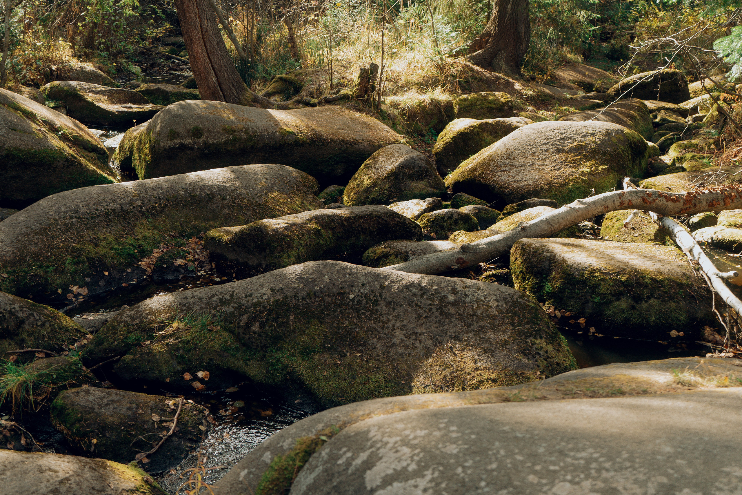 Поход на Соколиный камень. Денис Марков — фотограф в Екатеринбурге