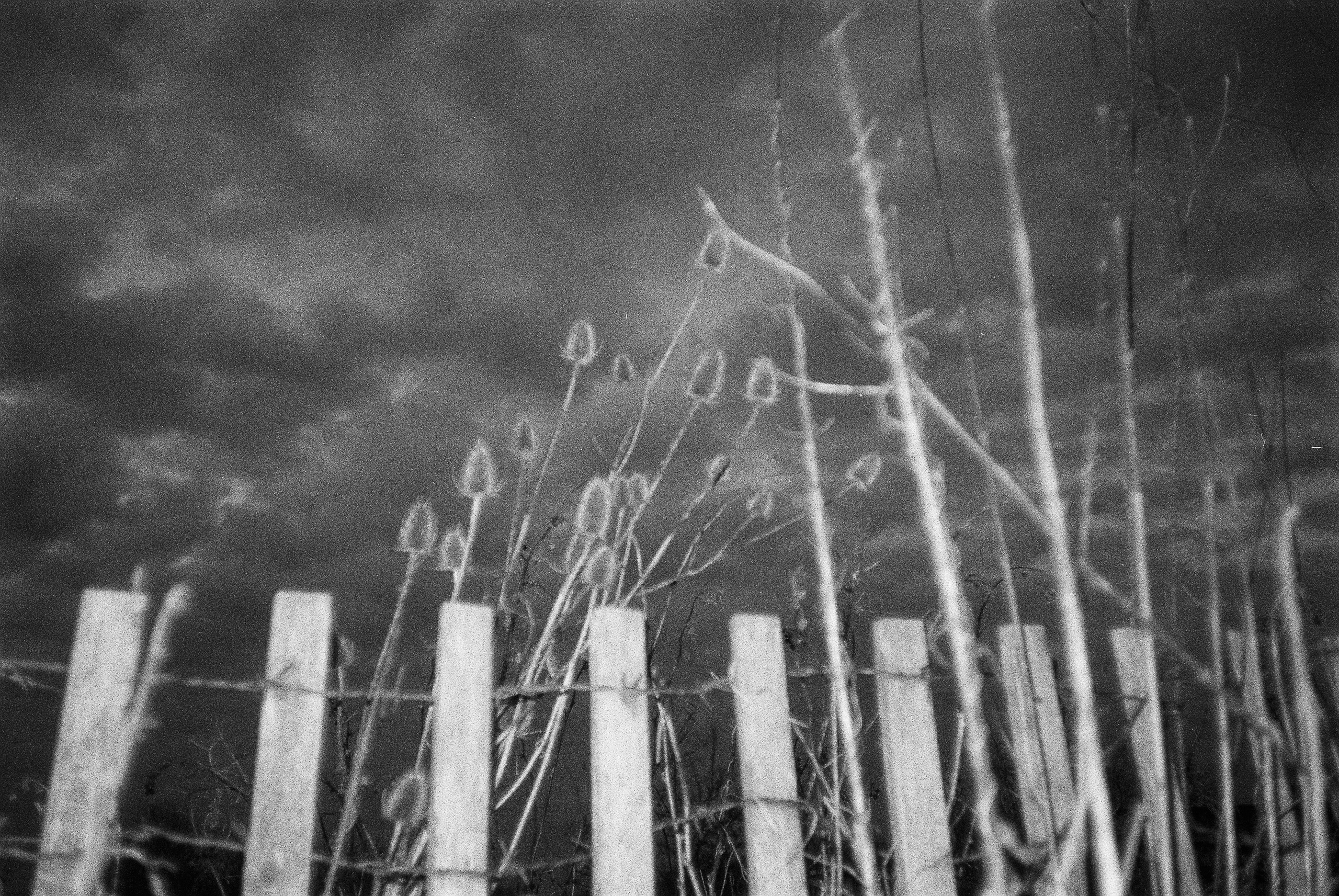 Окраины. Works