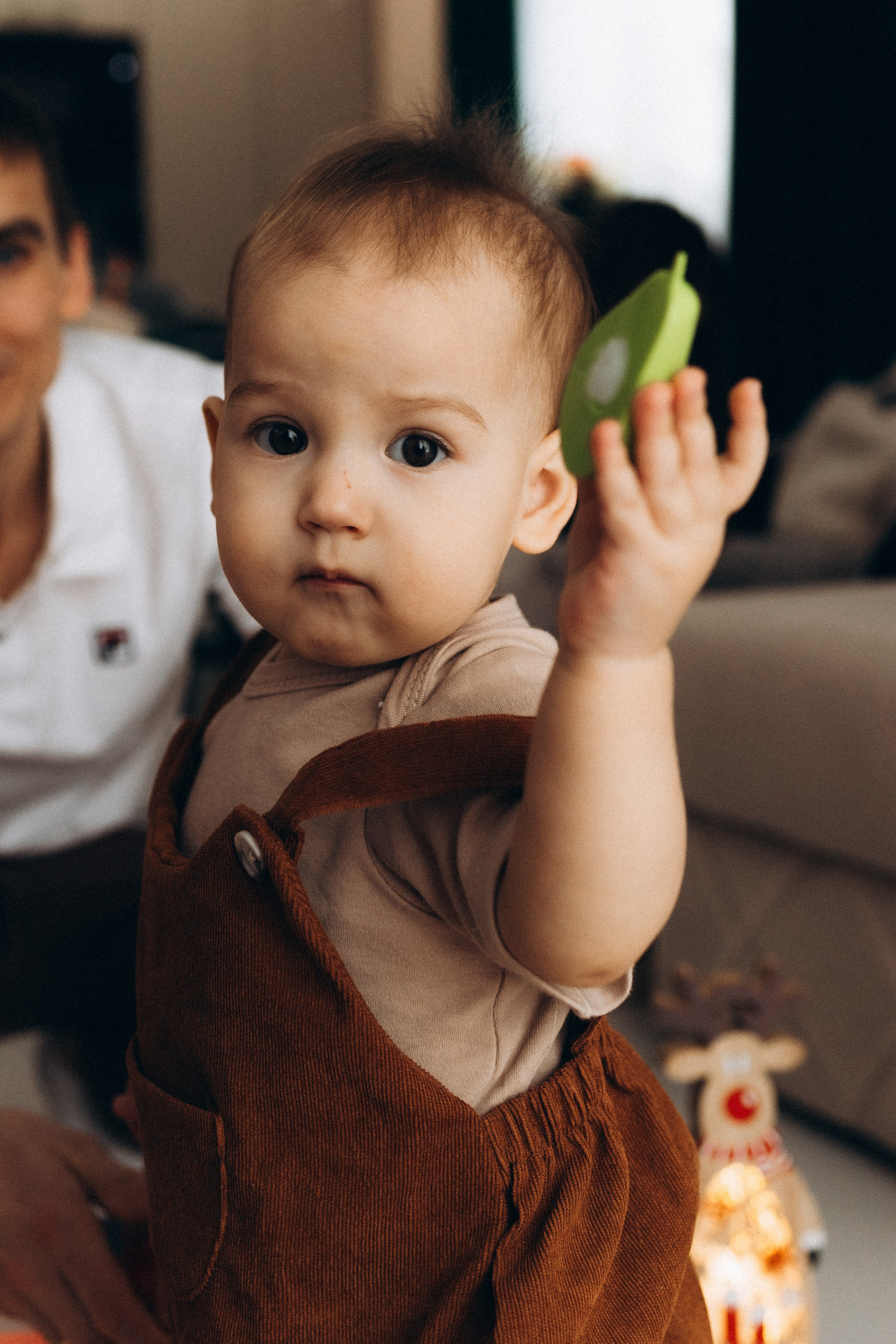 Владимир, Ирина и Алиса