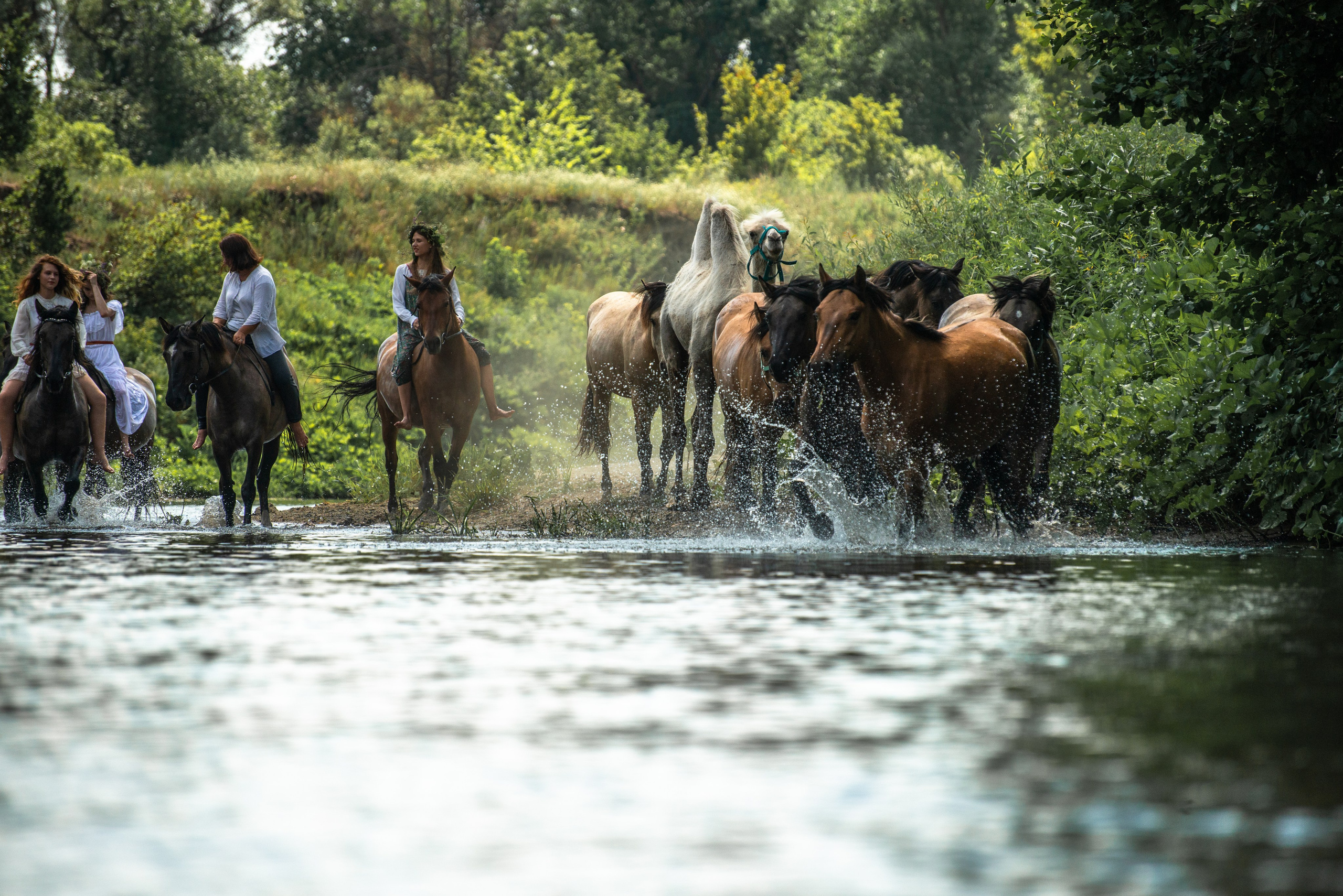 Купала в Родославном. Конный фотограф в Саратове Юлия Иванова