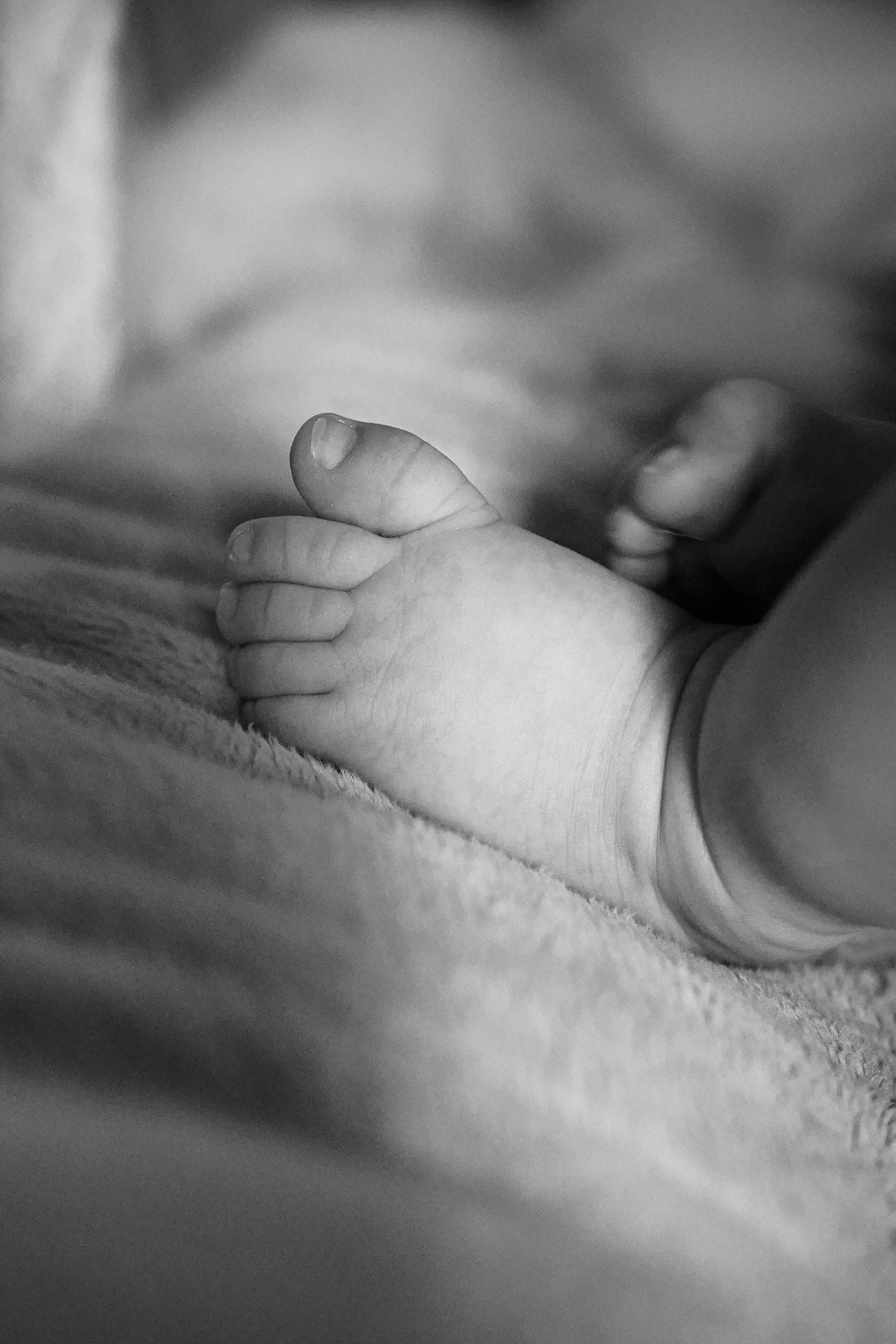 Эмилия и родители. Семейный и детский фотограф в Москве (Тинао) Галкина Алевтина