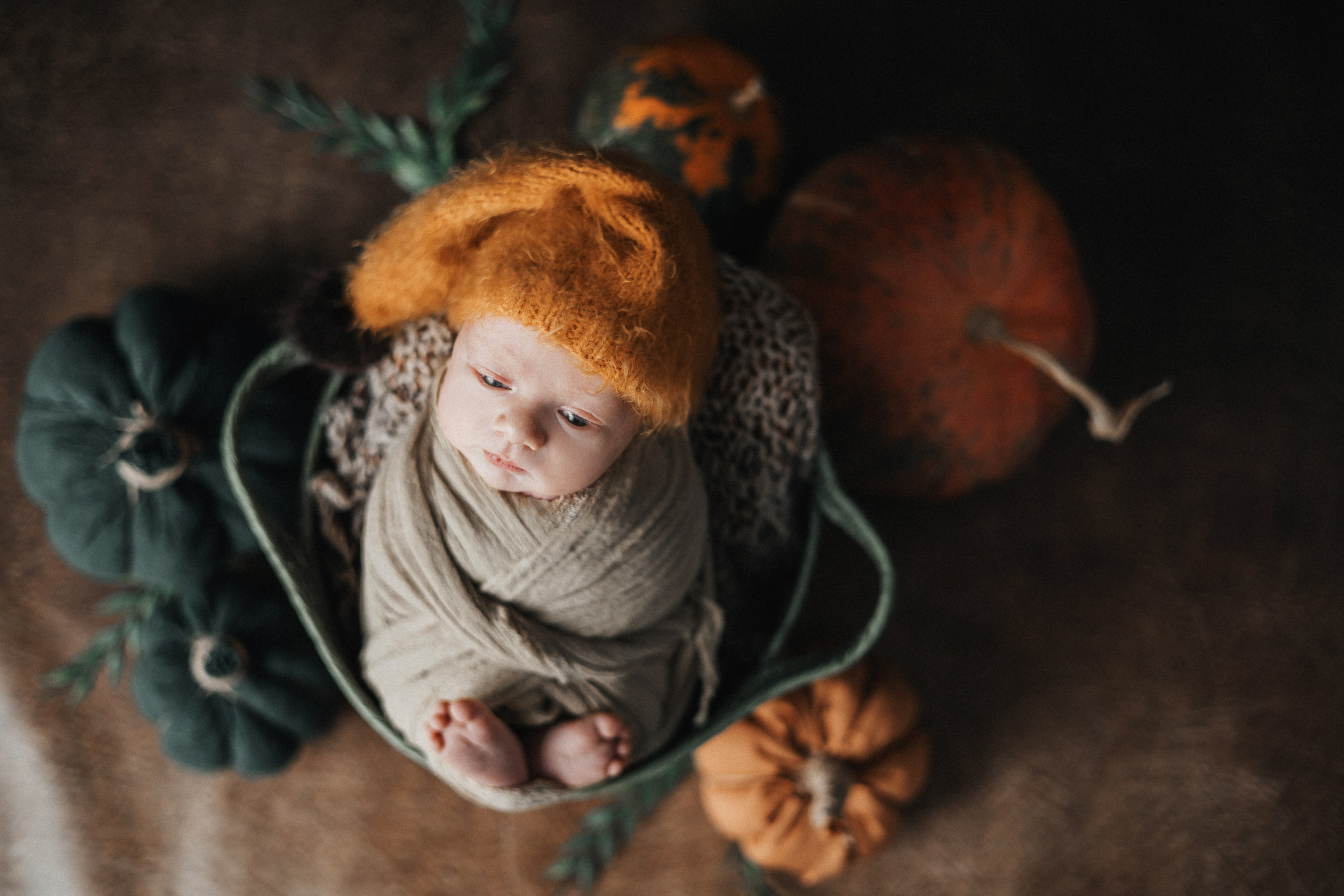 Гриша, пакет «Комфорт». 14 дней. Фотограф новорождённых Екатерина Боброва. Ульяновск