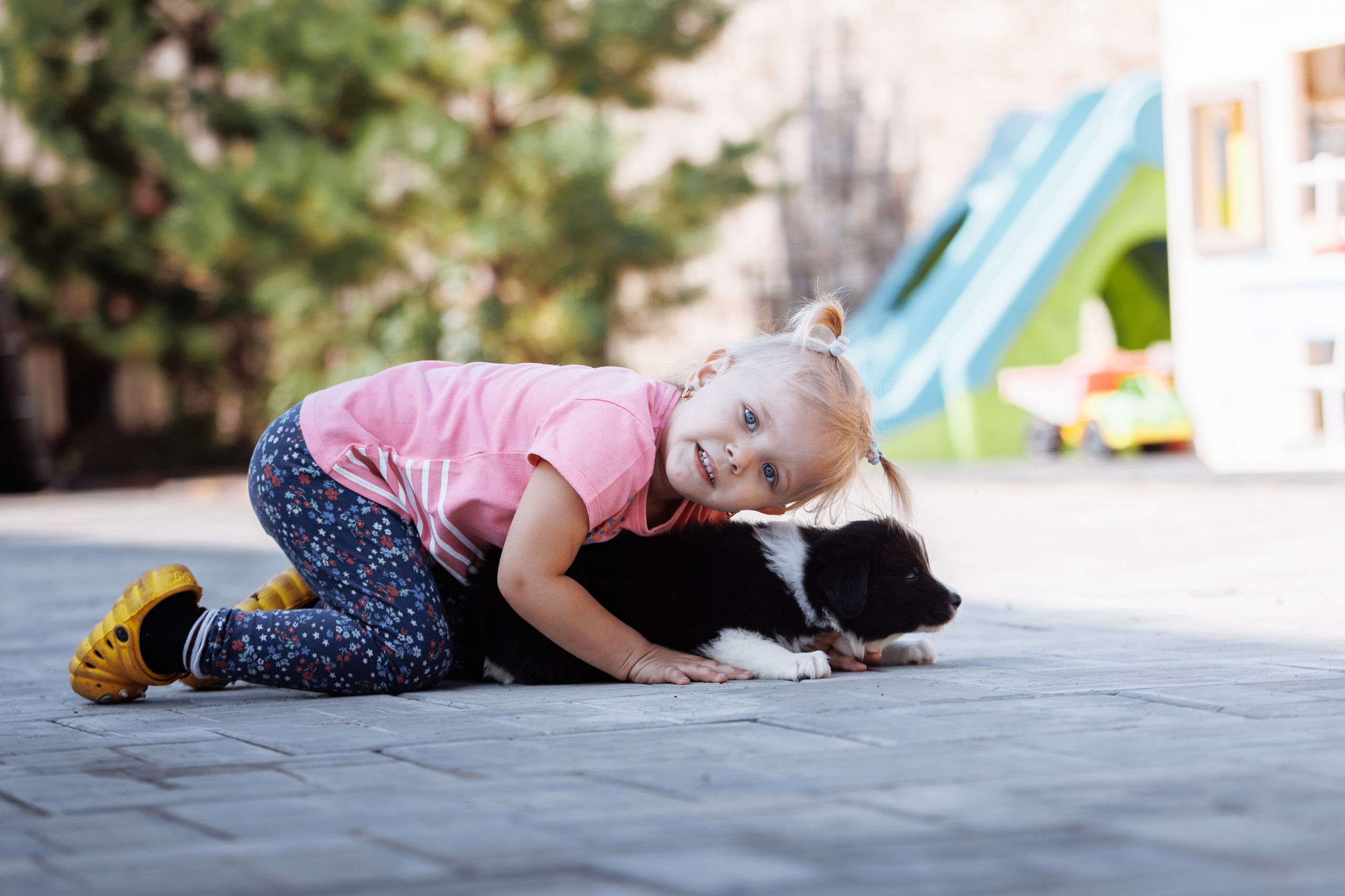 МММ — маленькое мягкое милое. О нас