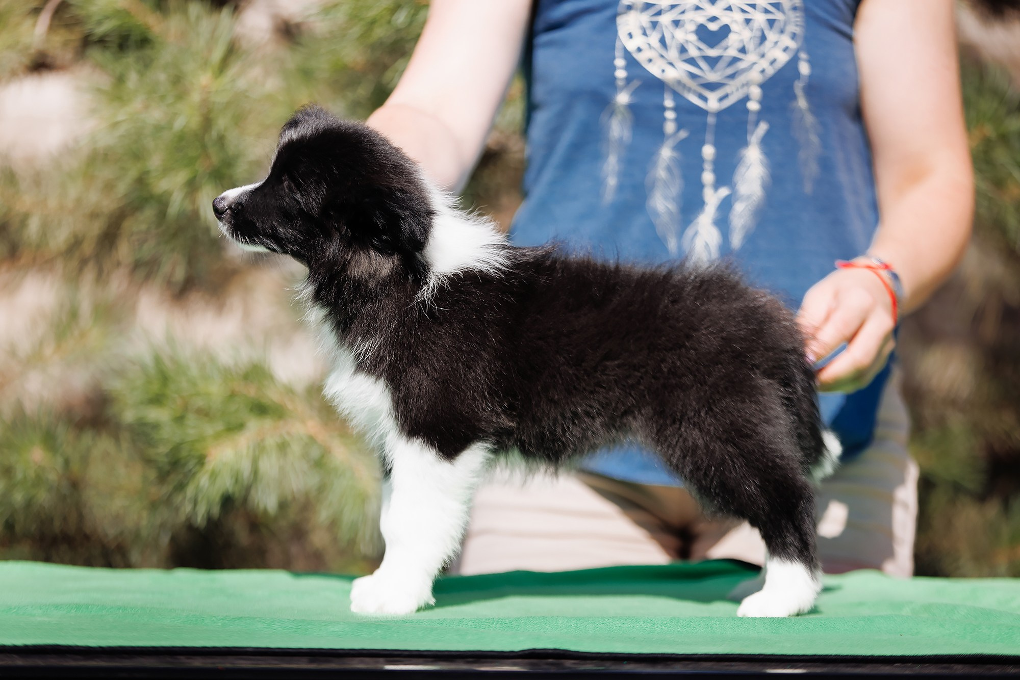 Трава у дома. О нас