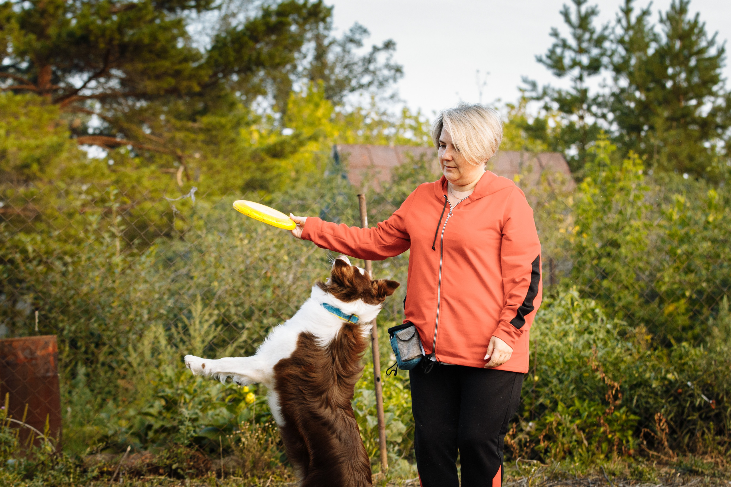 Овечий день. О нас