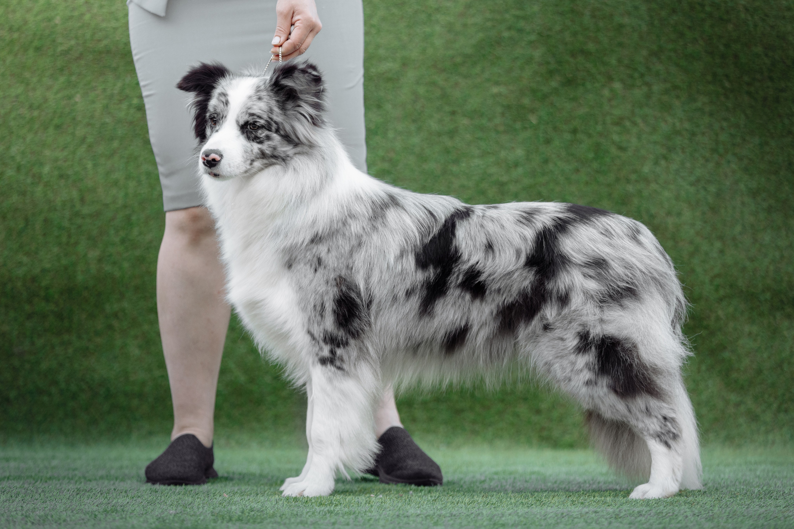 Свое место. О нас