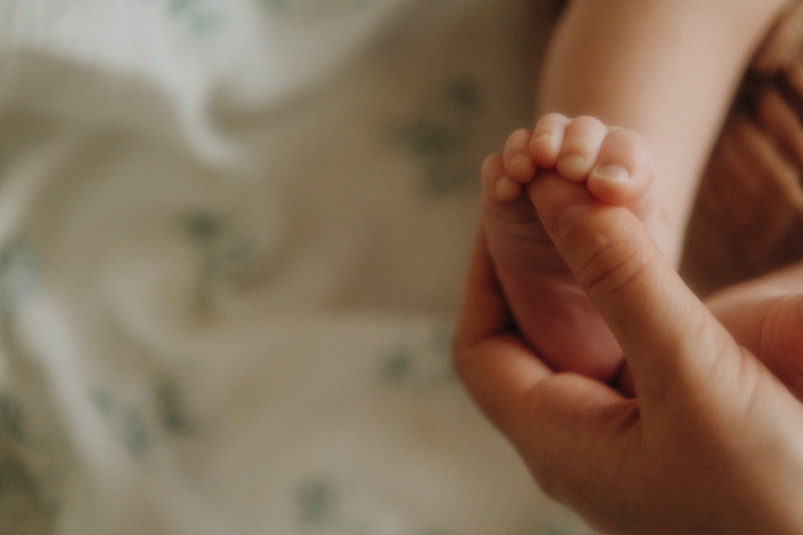 Нежность. Свадебный и семейный фотограф Арестенко Анастасия