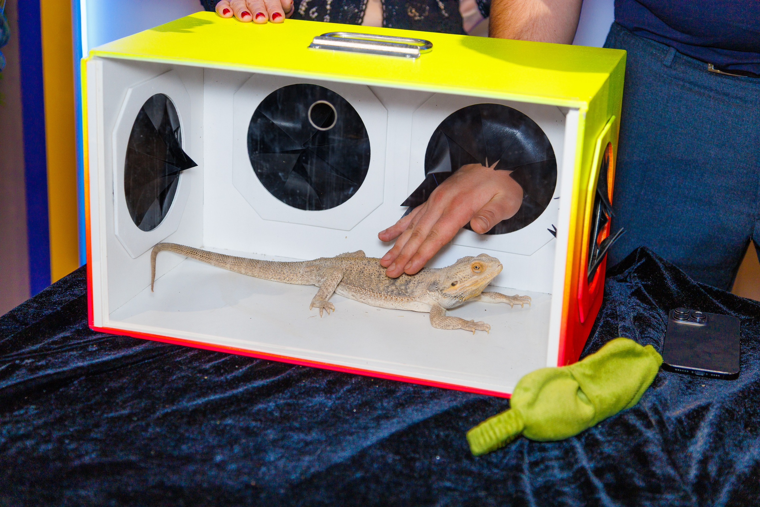 Детские дни рождения. Фотограф в Москве фотосессия